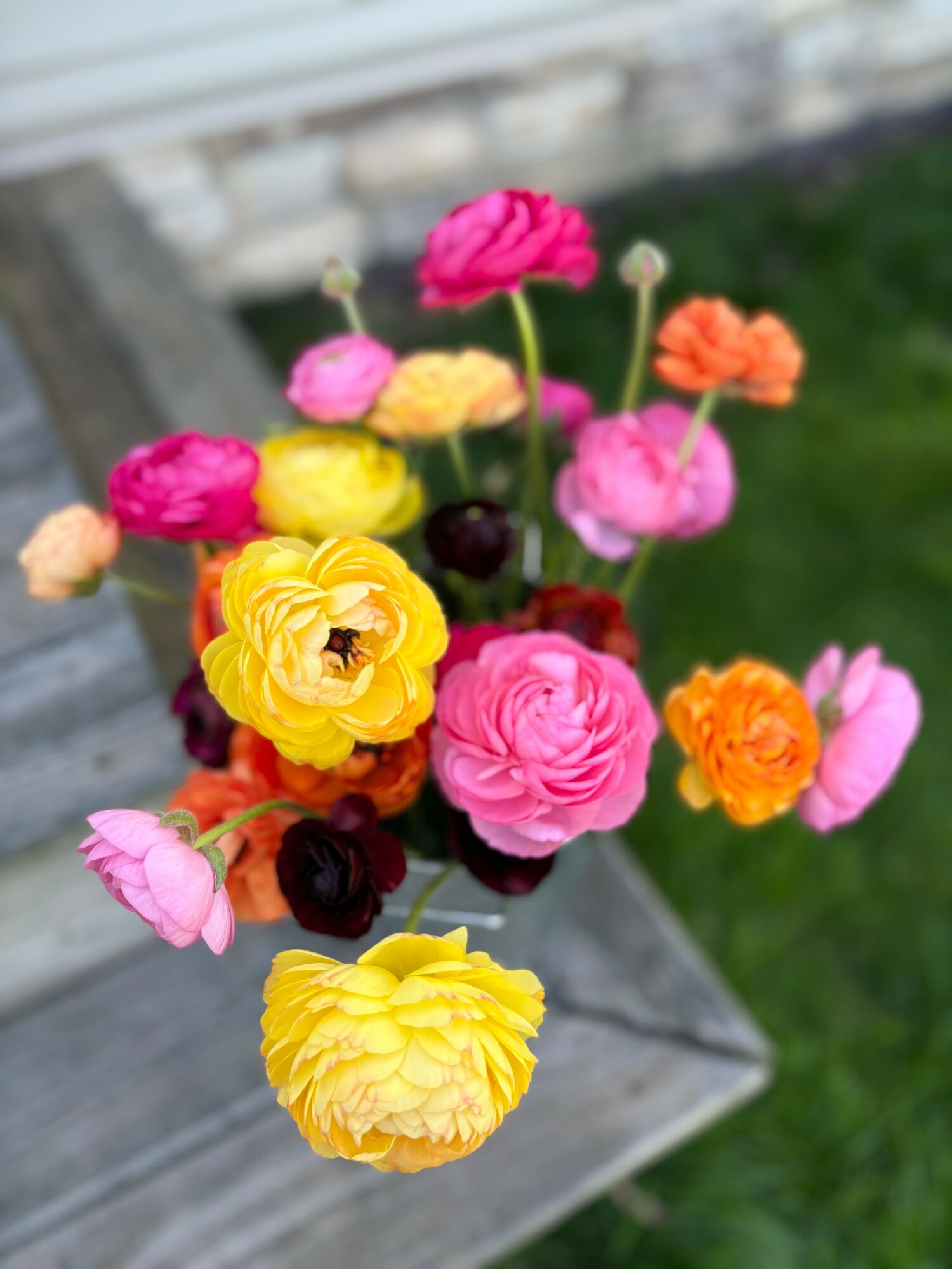 Colorful bouquet of pink, yellow, orange, and dark purple flowers on a wooden surface outdoors.