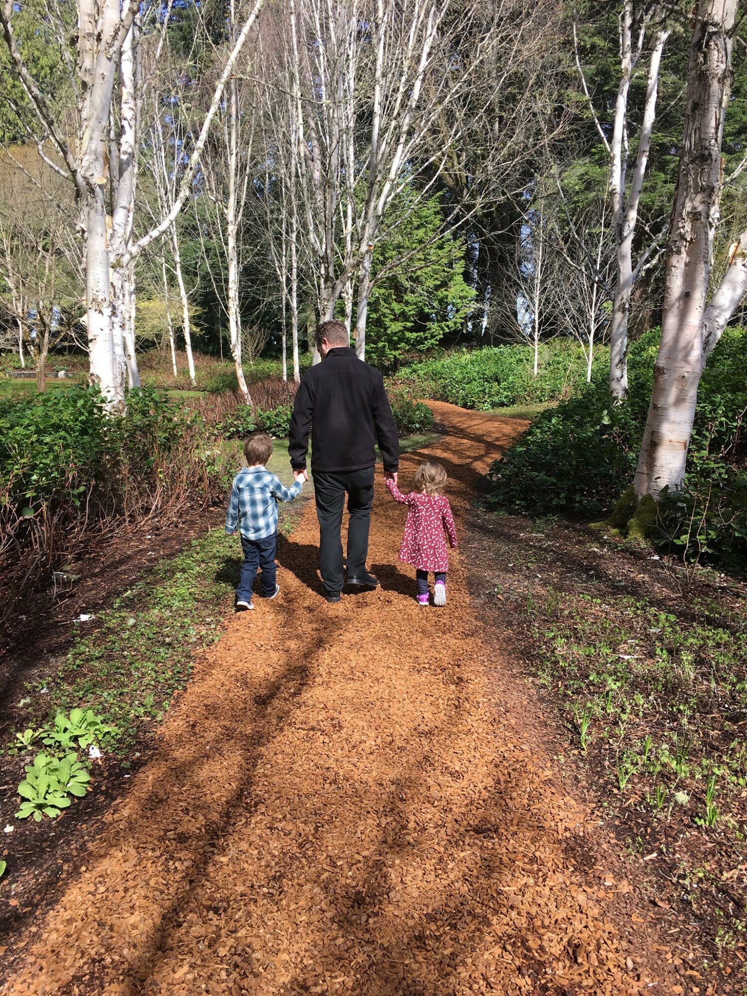 Man walking with two children on a dirt path surrounded by trees and greenery.