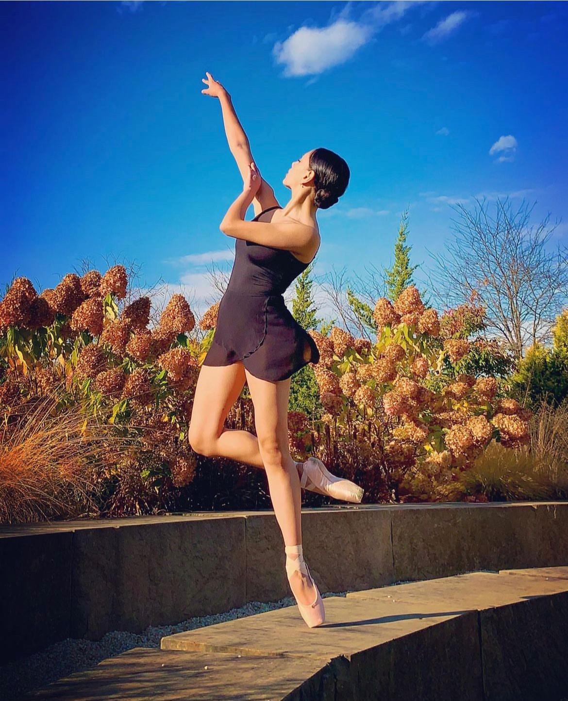 Ballet dancer in black dress on outdoor ledge, arms raised, one leg extended, blue sky and trees behind.