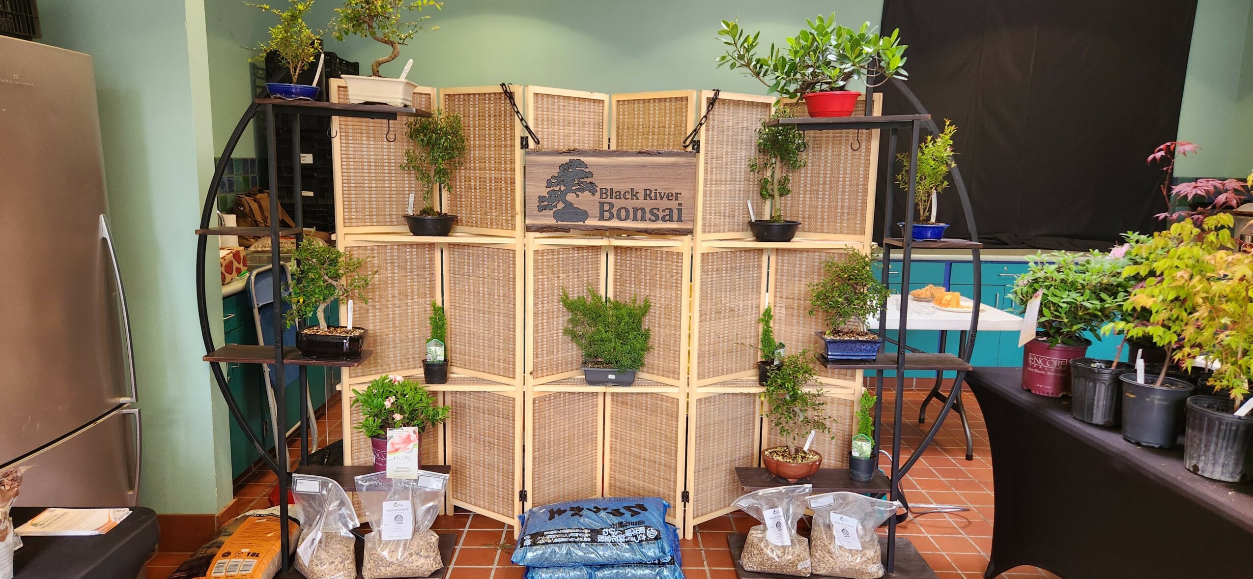 Display shelf with potted plants and decorative items against a green wall, with a blue suitcase and other objects nearby.