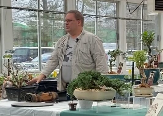 Man in glasses and light jacket standing behind a table with potted plants inside a glass-walled space.