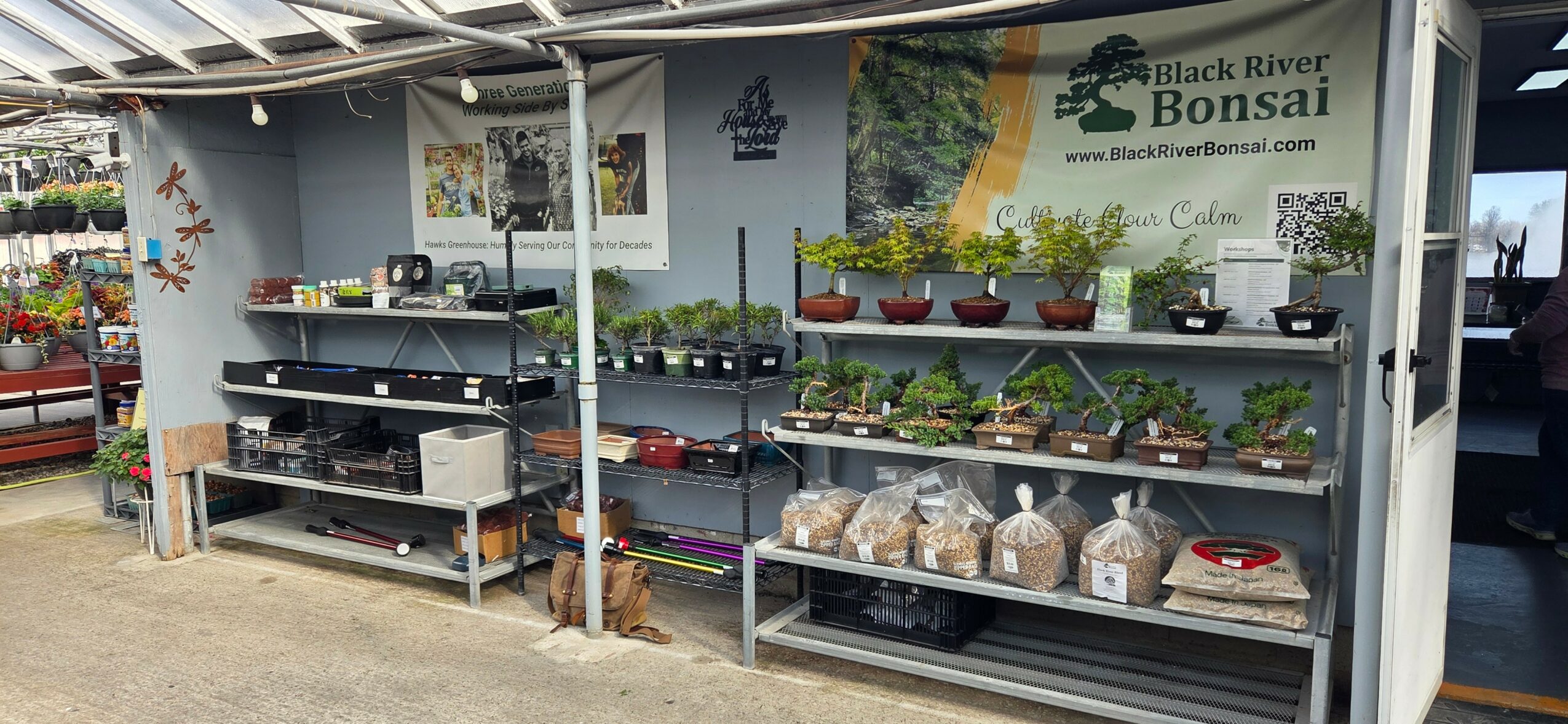 Bonsai plants and gardening supplies displayed on shelves at an outdoor market stall.