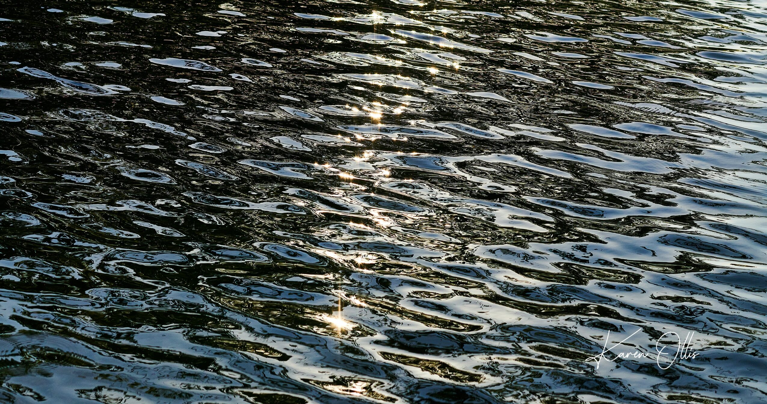 Water surface with ripples reflecting light, creating a shimmering pattern.