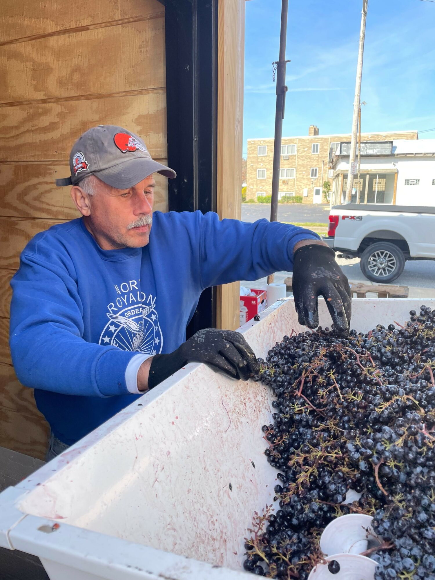 Person wearing a gray cap and blue sweatshirt working with plants on a white table, with a window and parked cars in background.