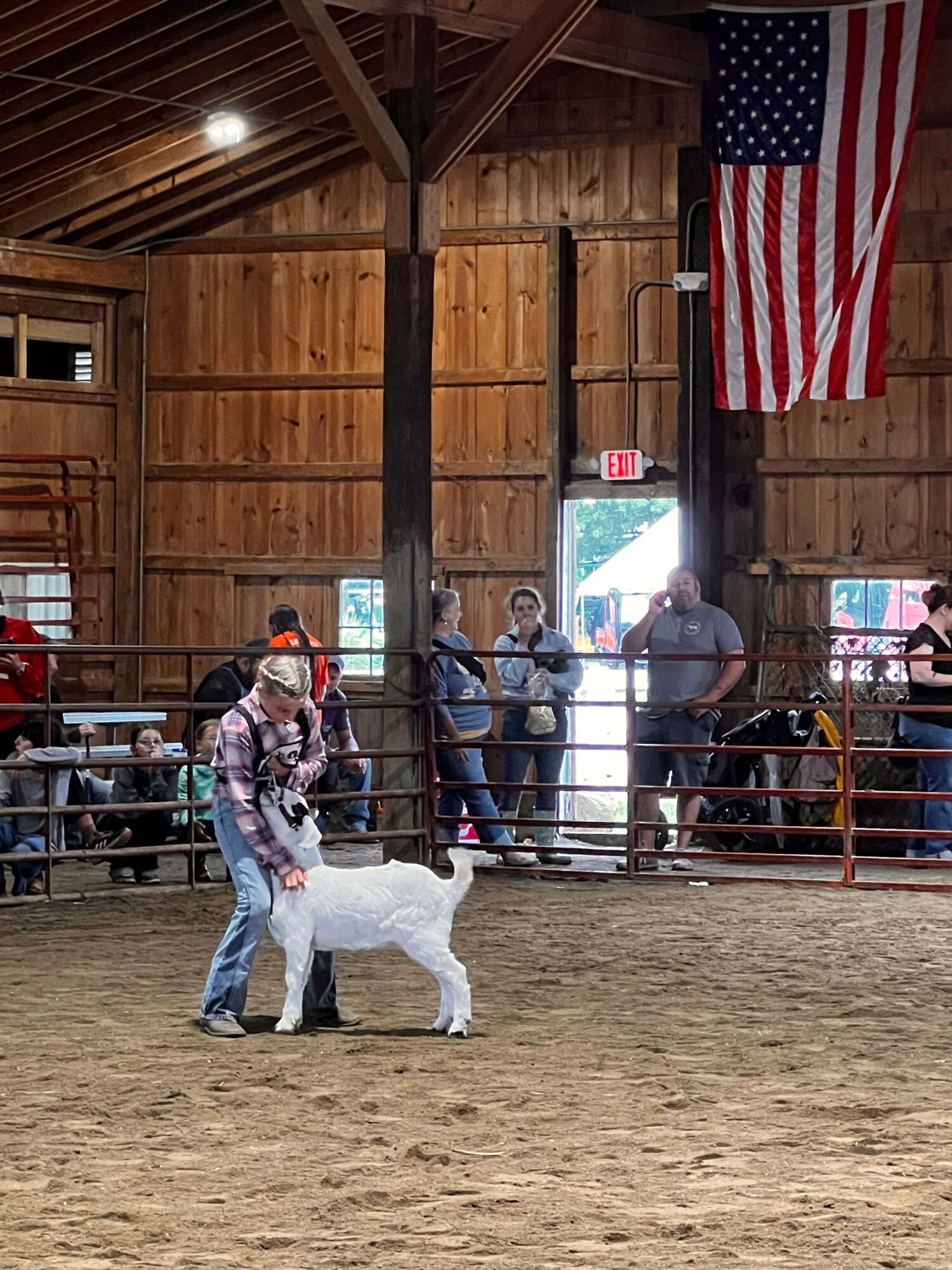 People inside a barn with wooden walls, an American flag, and a person in a white animal costume, with others nearby.
