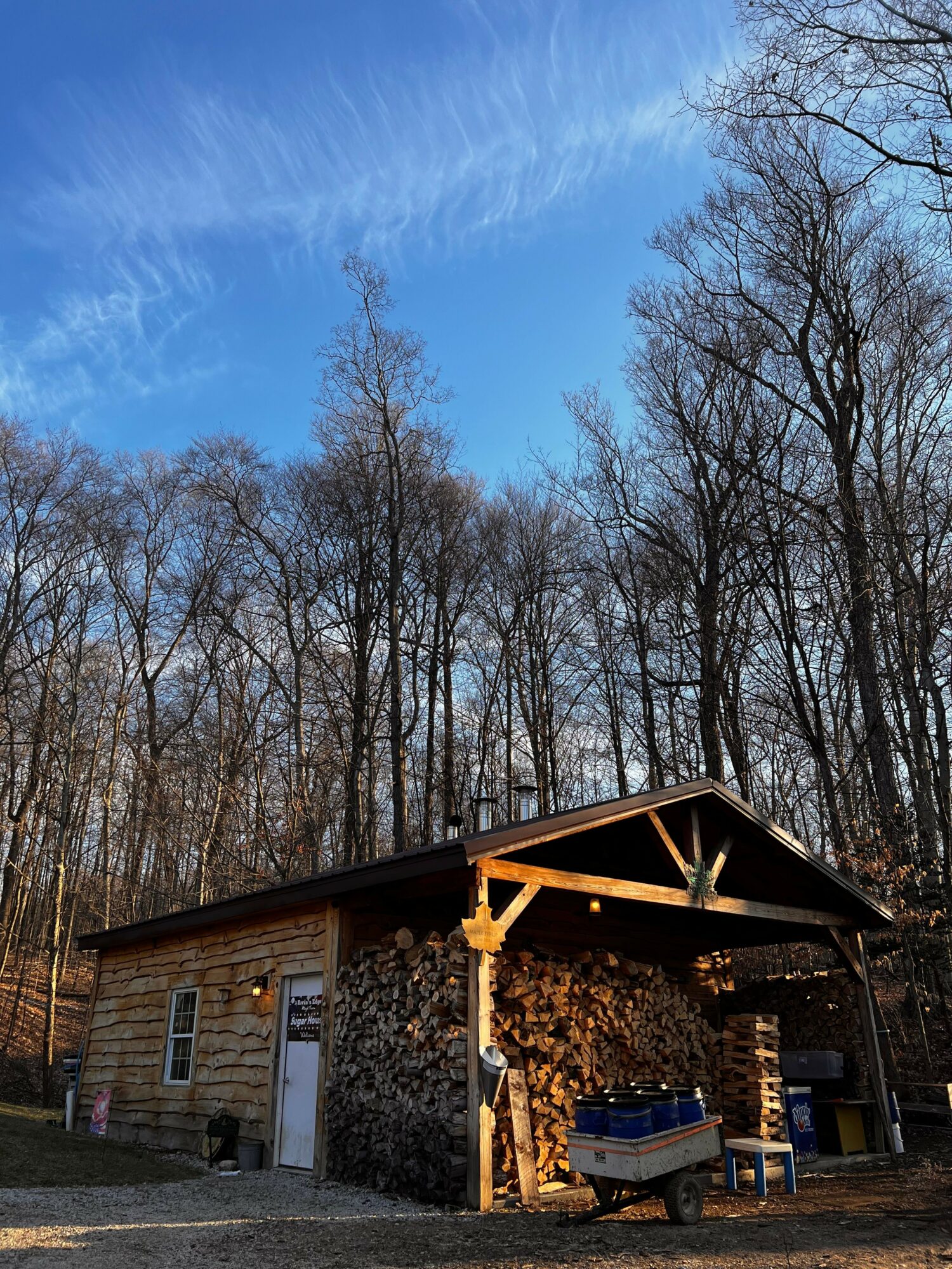 Wooden cabin with a pile of firewood, surrounded by leafless trees, under a blue sky with wispy clouds.
