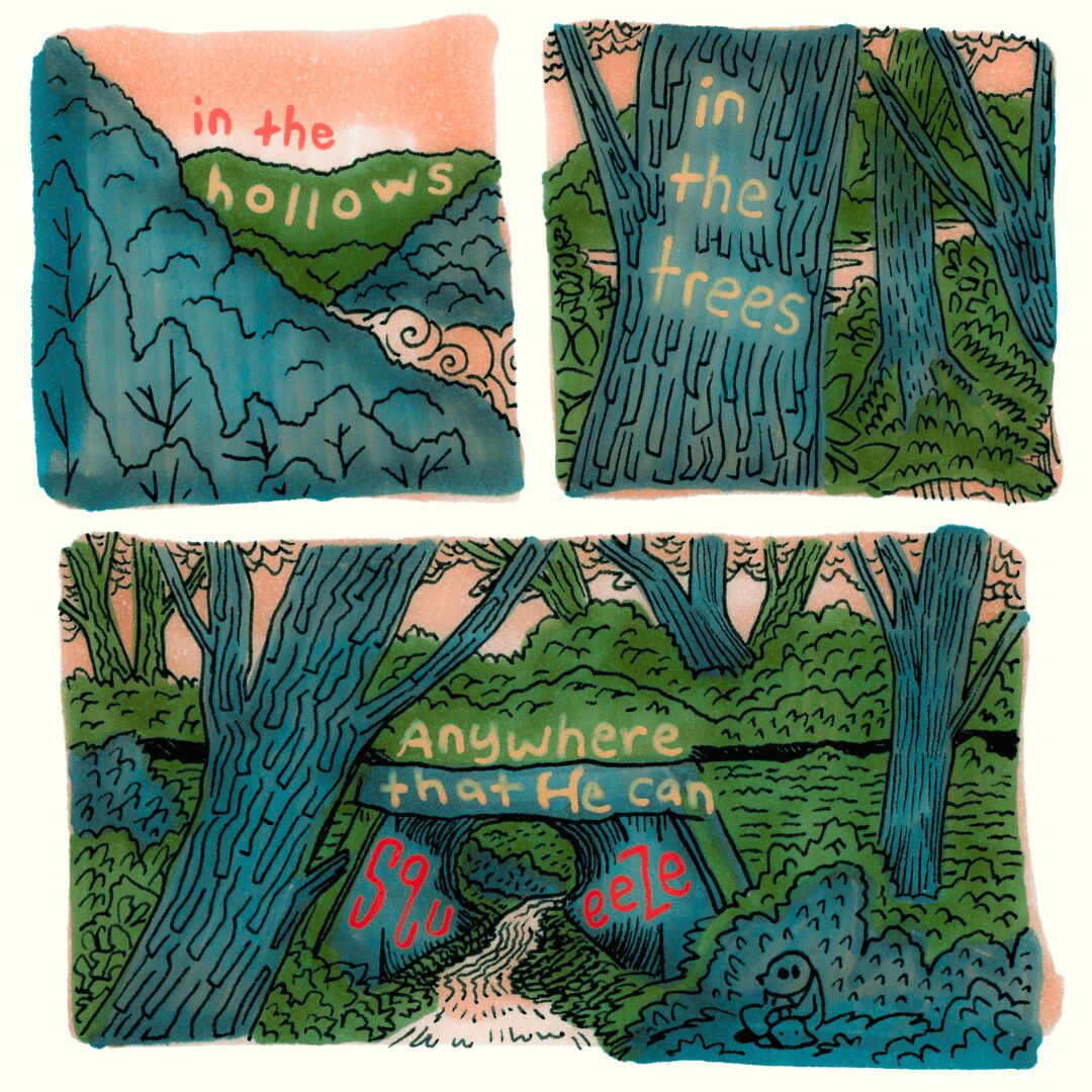 Three panels of a forest scene with trees, a stream, and text about the woods and trees, in colorful illustration.