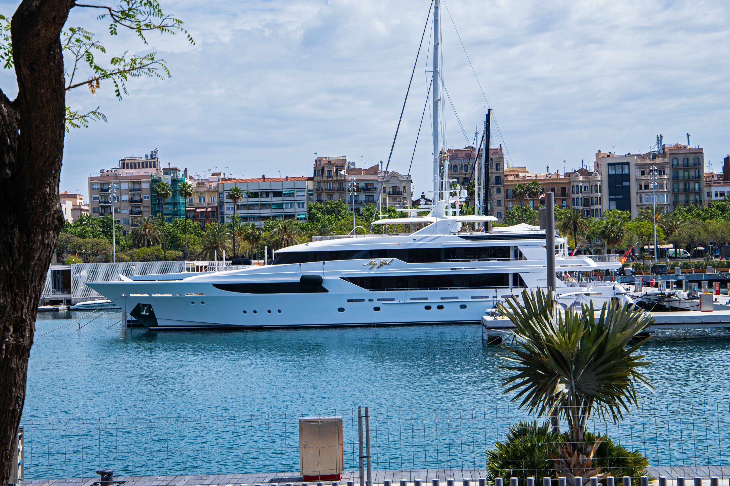 Large white yacht docked in a harbor with city buildings in the background, trees, and a palm plant in the foreground.