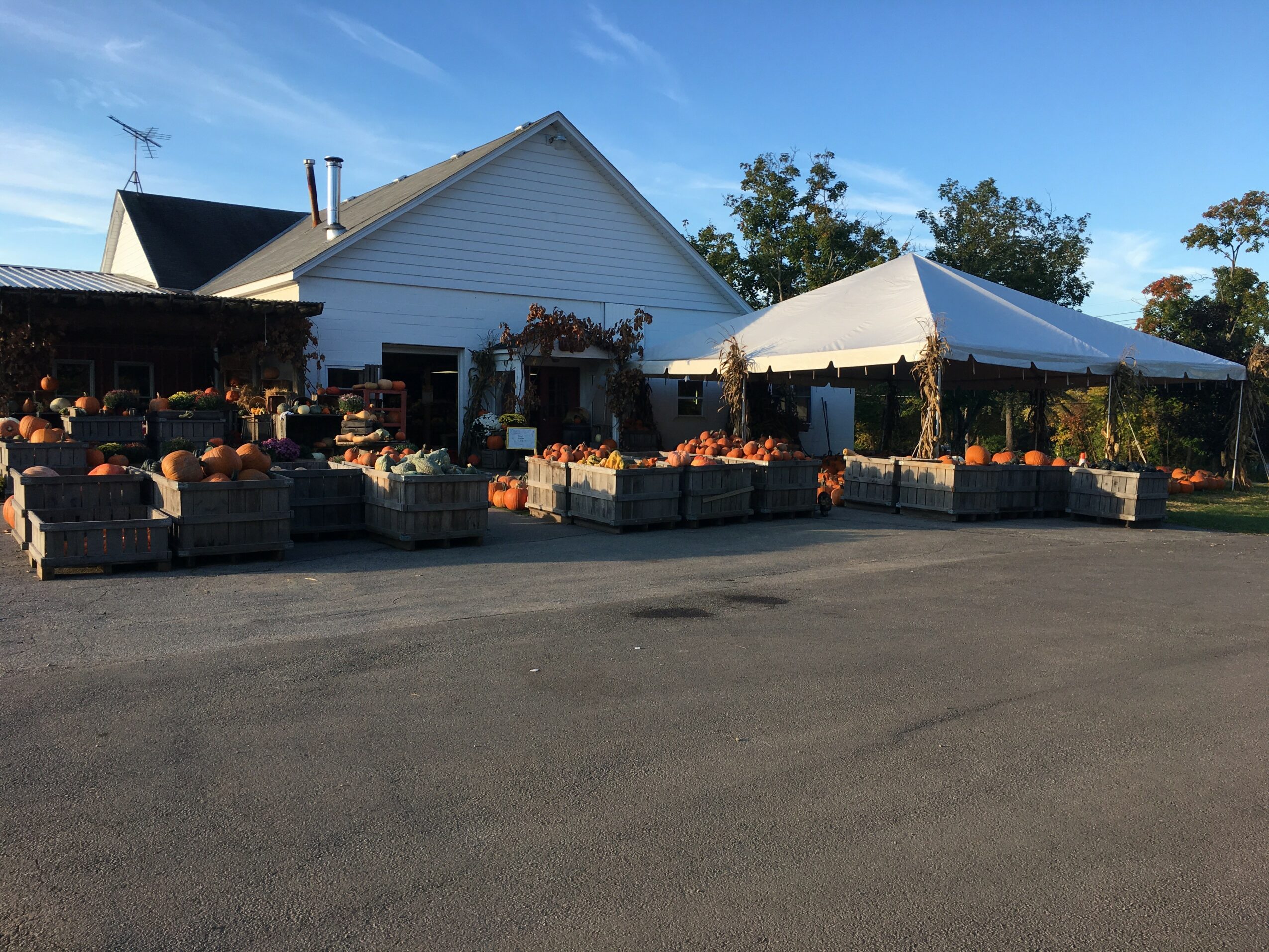 Outdoor market with crates of produce in front of a white building and tent, under a blue sky.