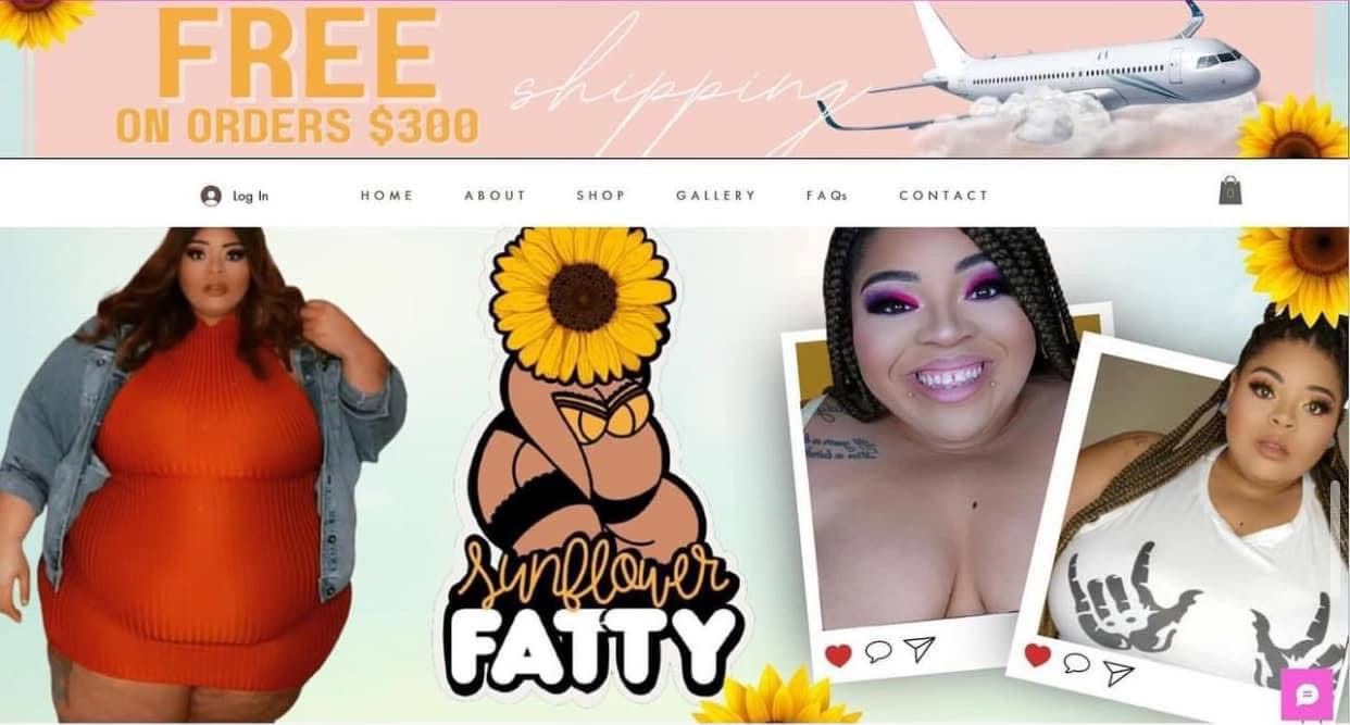 Banner with airplane, sunflower, and text, followed by images of three women, a cartoon sunflower character, and social media photos.