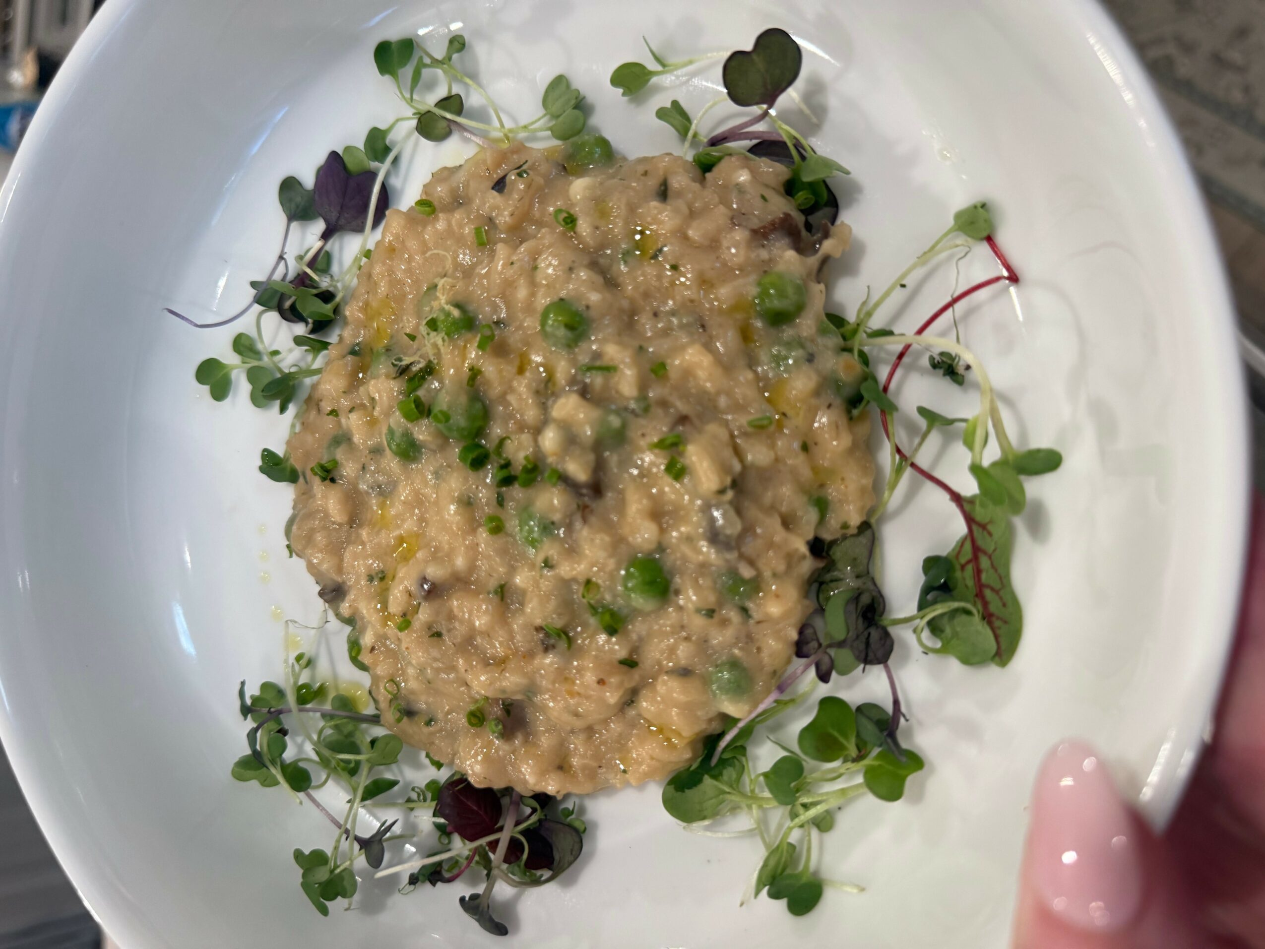 A dish with a creamy, textured mixture garnished with microgreens on a white plate.