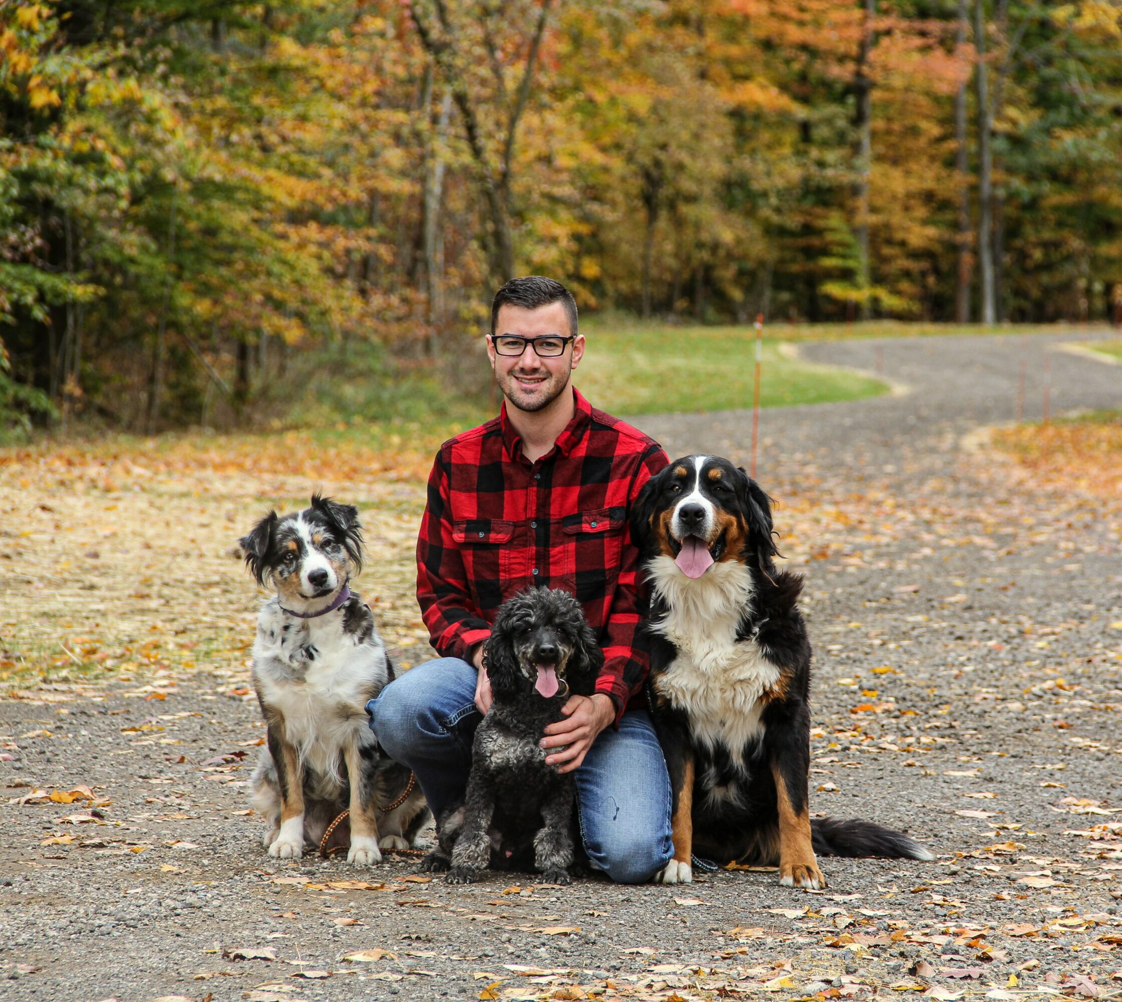 Man kneeling with three dogs outdoors on a fall day, trees with colorful leaves in background.