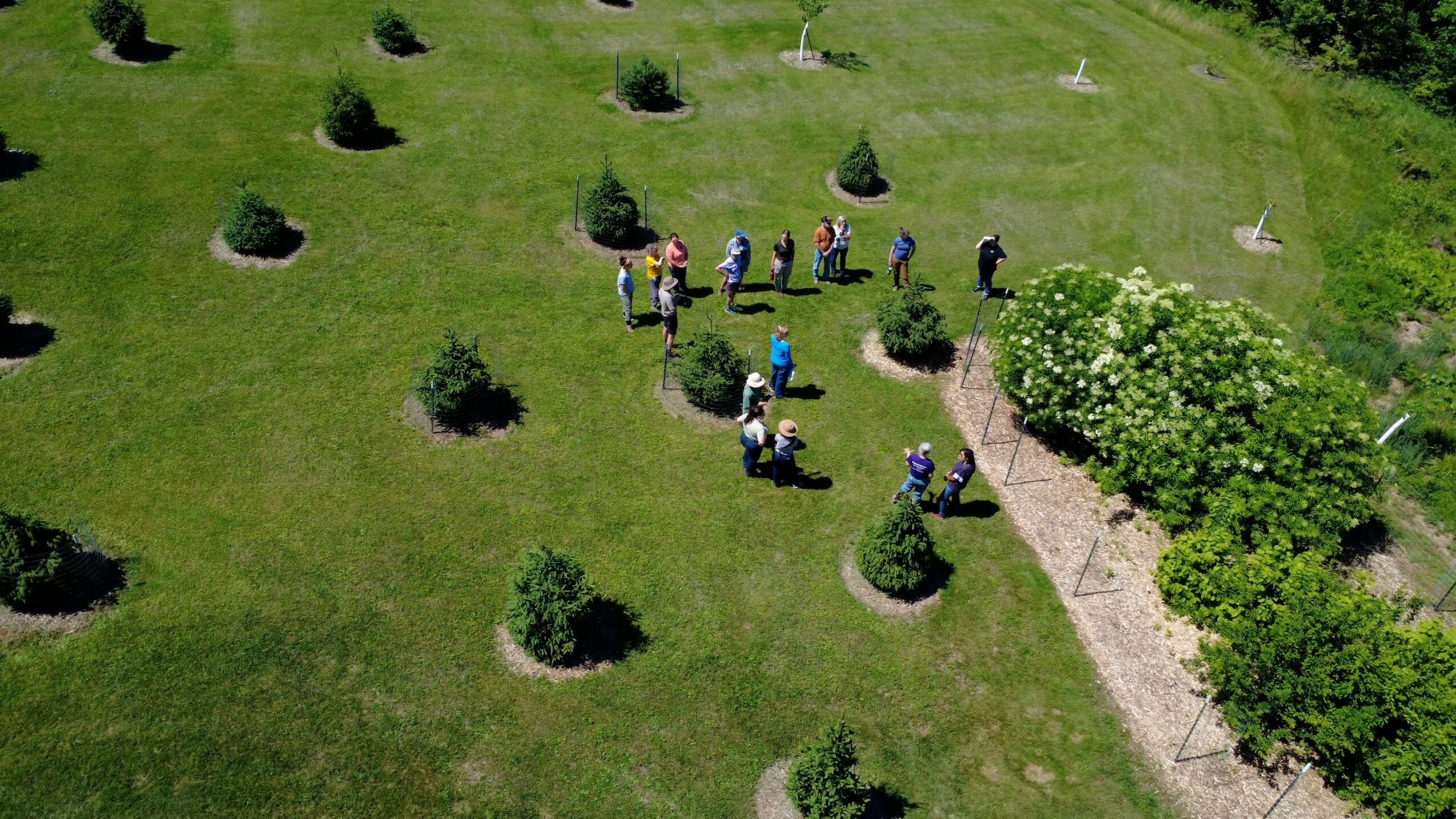 People walking along a garden path surrounded by grass, bushes, and trees, viewed from above.