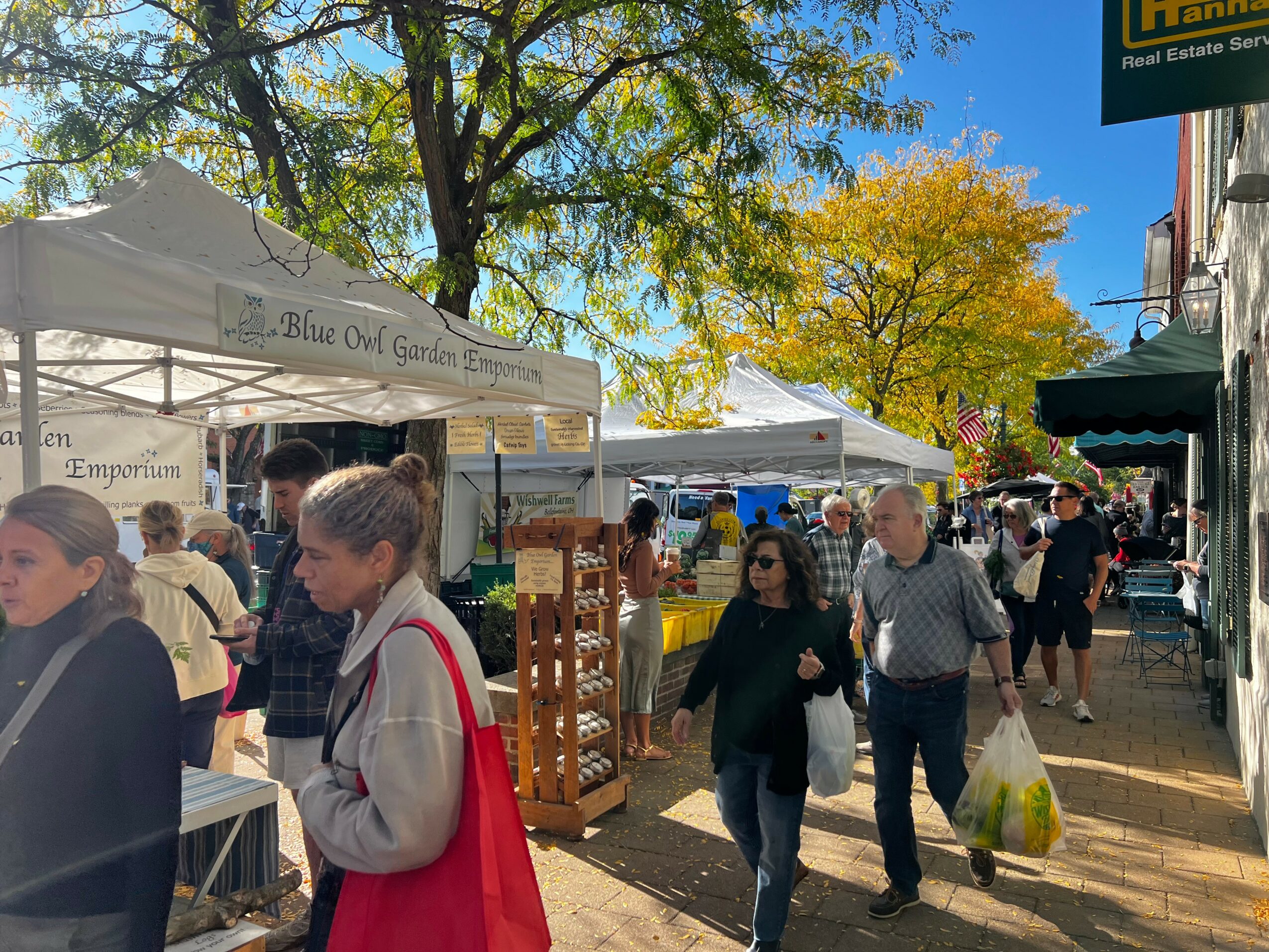 People walking at an outdoor market with tents and trees with autumn leaves, sunny sky, and storefronts in the background.