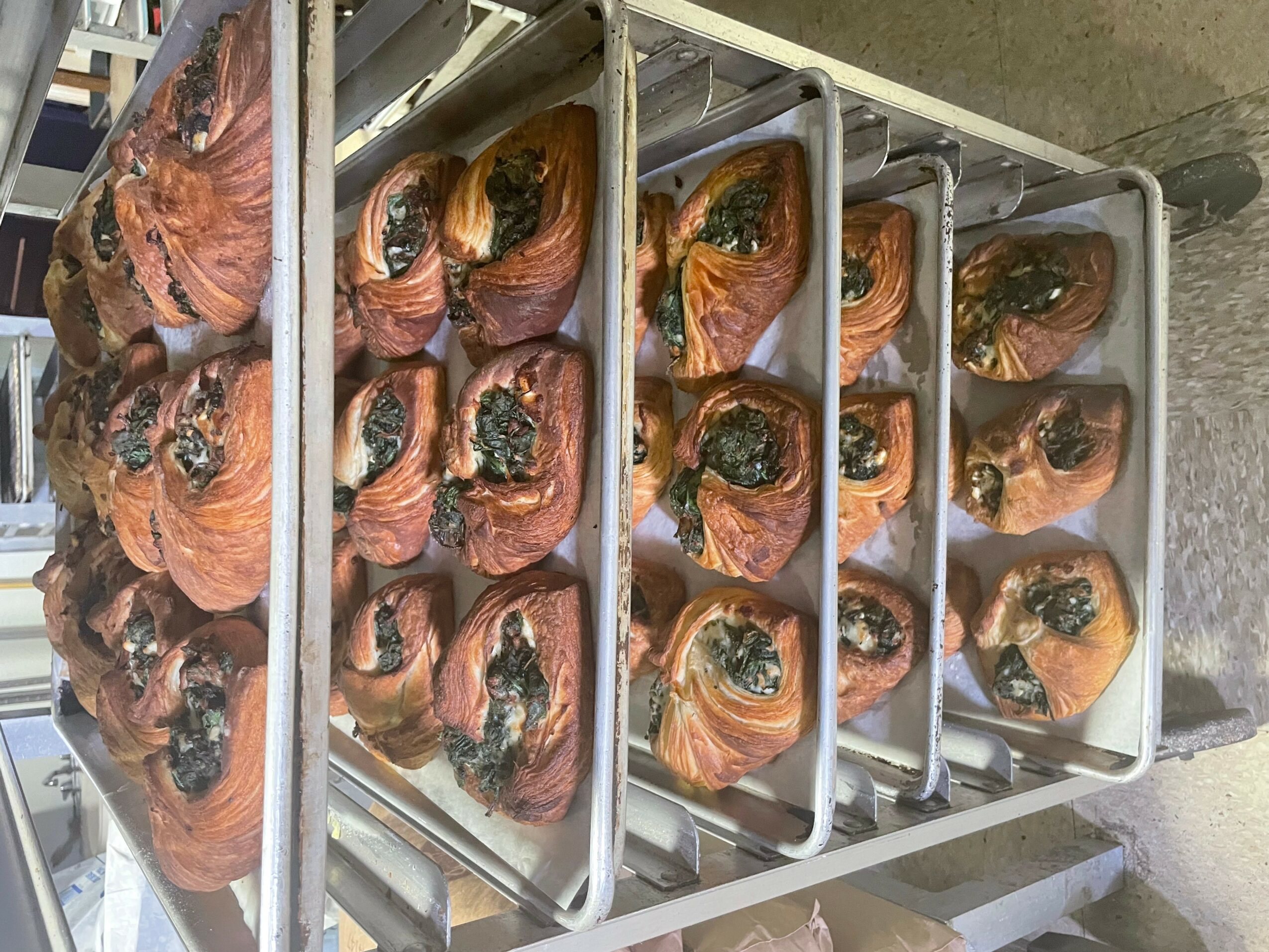 Multiple trays of baked pastries with dark filling, arranged in rows on metal racks, in a bakery or kitchen setting.
