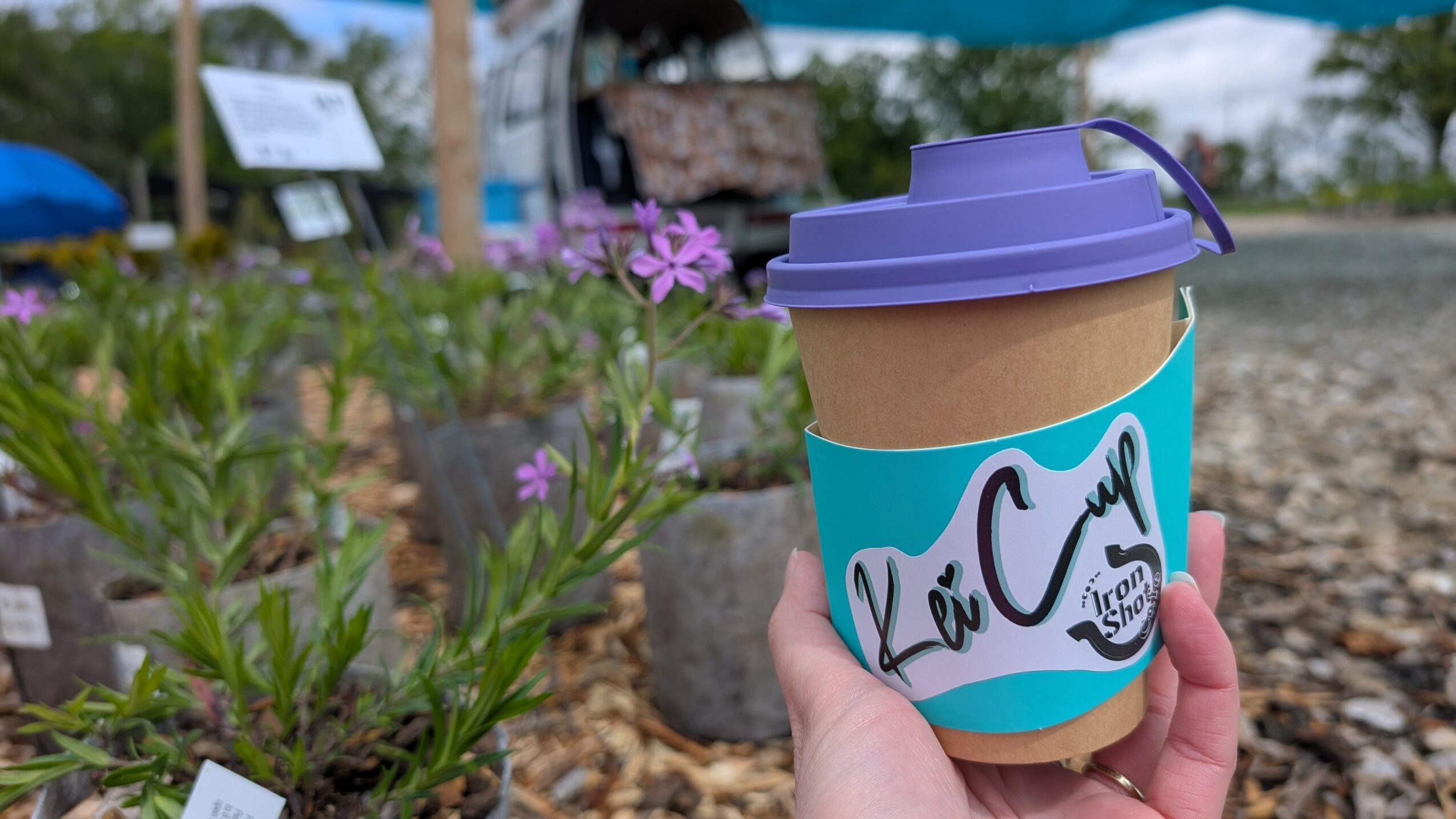 Hand holding a coffee cup with a purple lid and blue sleeve, outdoors with purple flowers and trees in background.