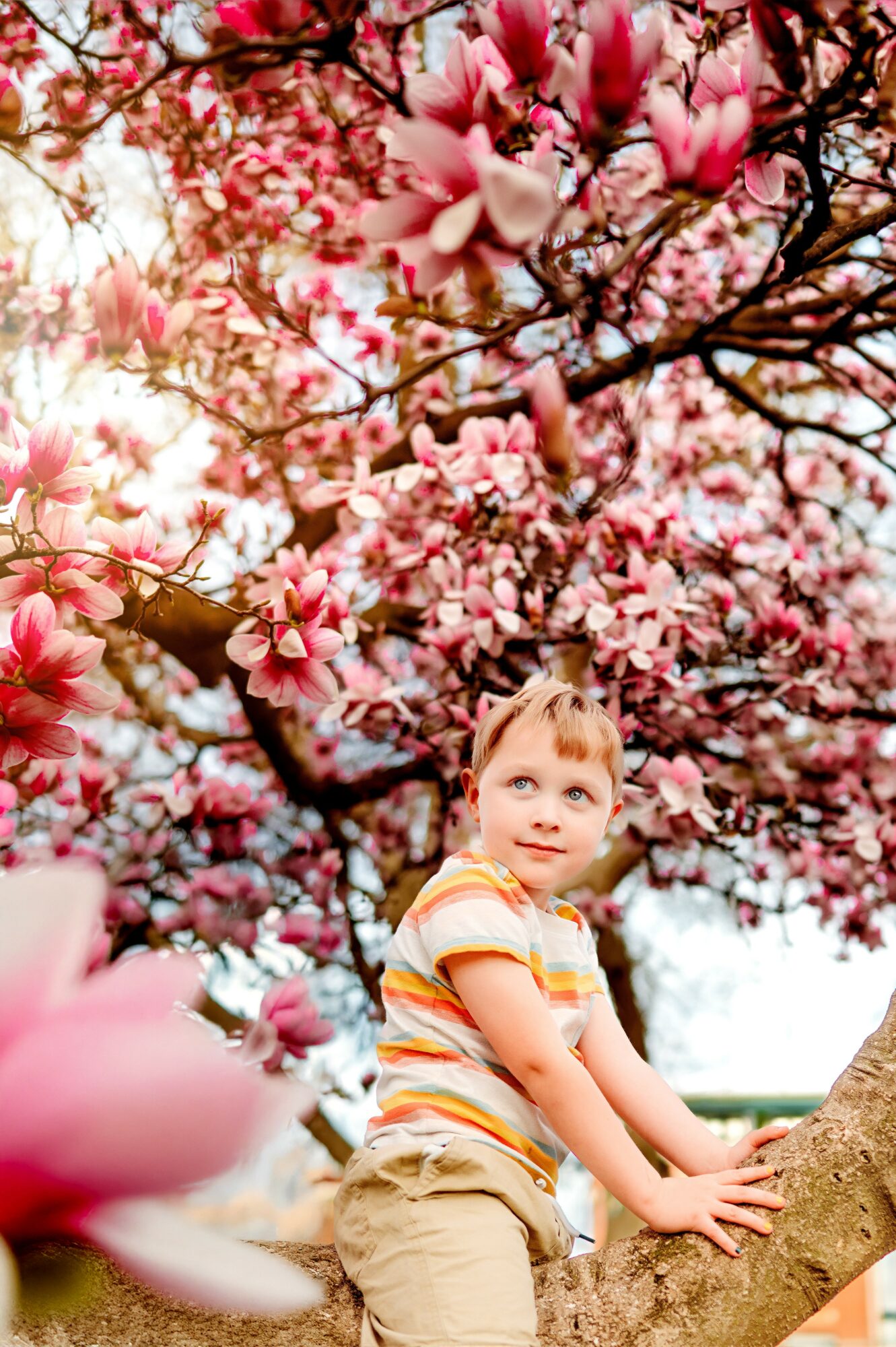 Child sitting on a tree branch with pink blossoms in the background, wearing a striped shirt and beige pants.