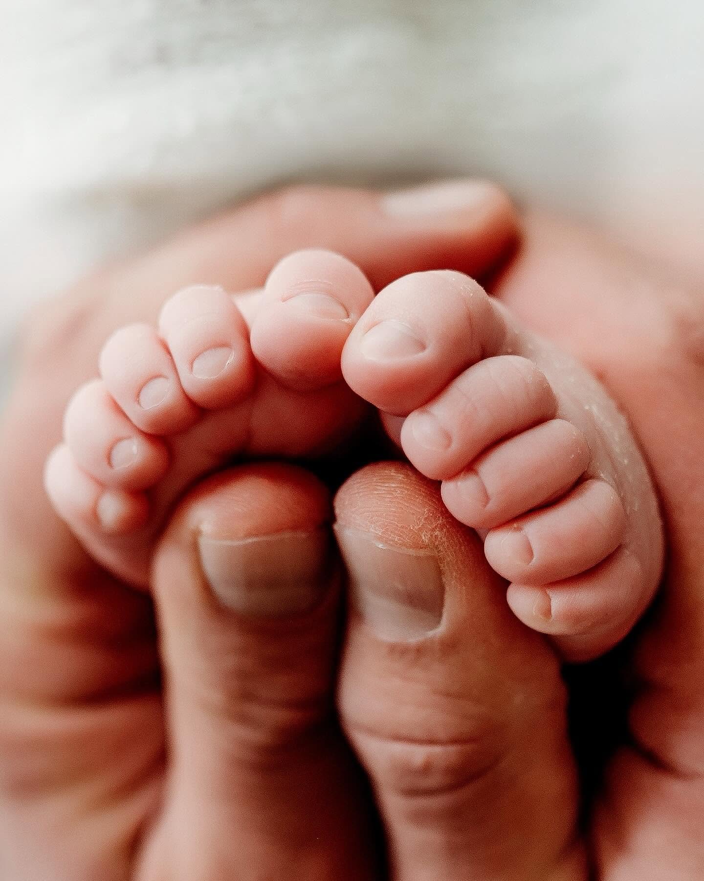 Close-up of tiny baby feet held in an adult's hand, showing soft skin and small toes.