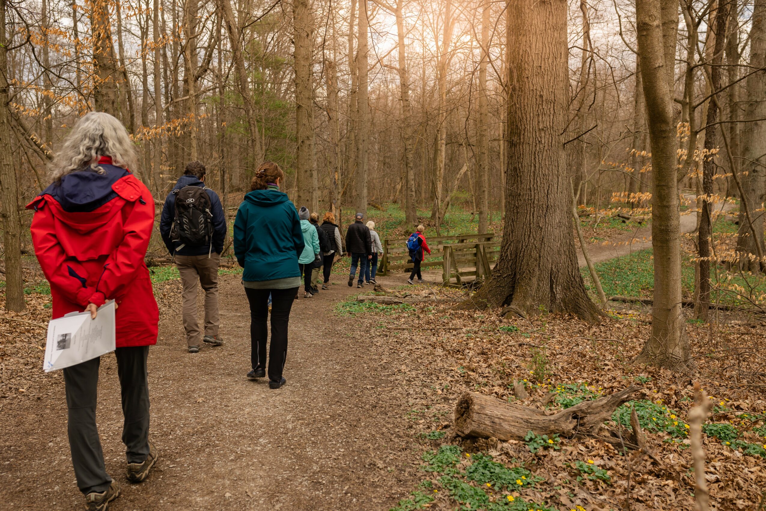 Group of people walking on a forest trail during sunset, surrounded by tall trees and fallen leaves.