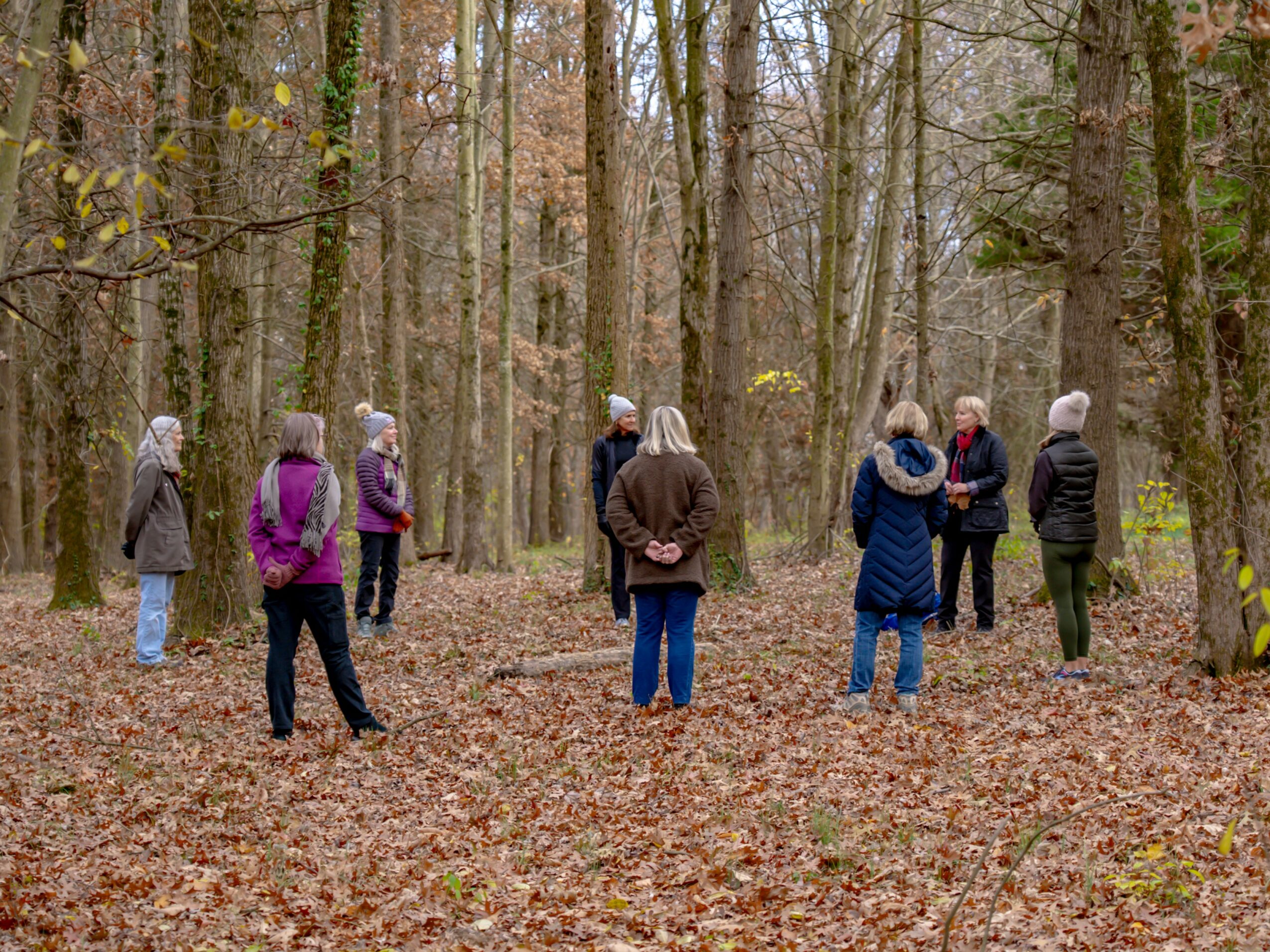 Group of people standing in a forest with trees and fallen leaves, engaging in conversation or listening.