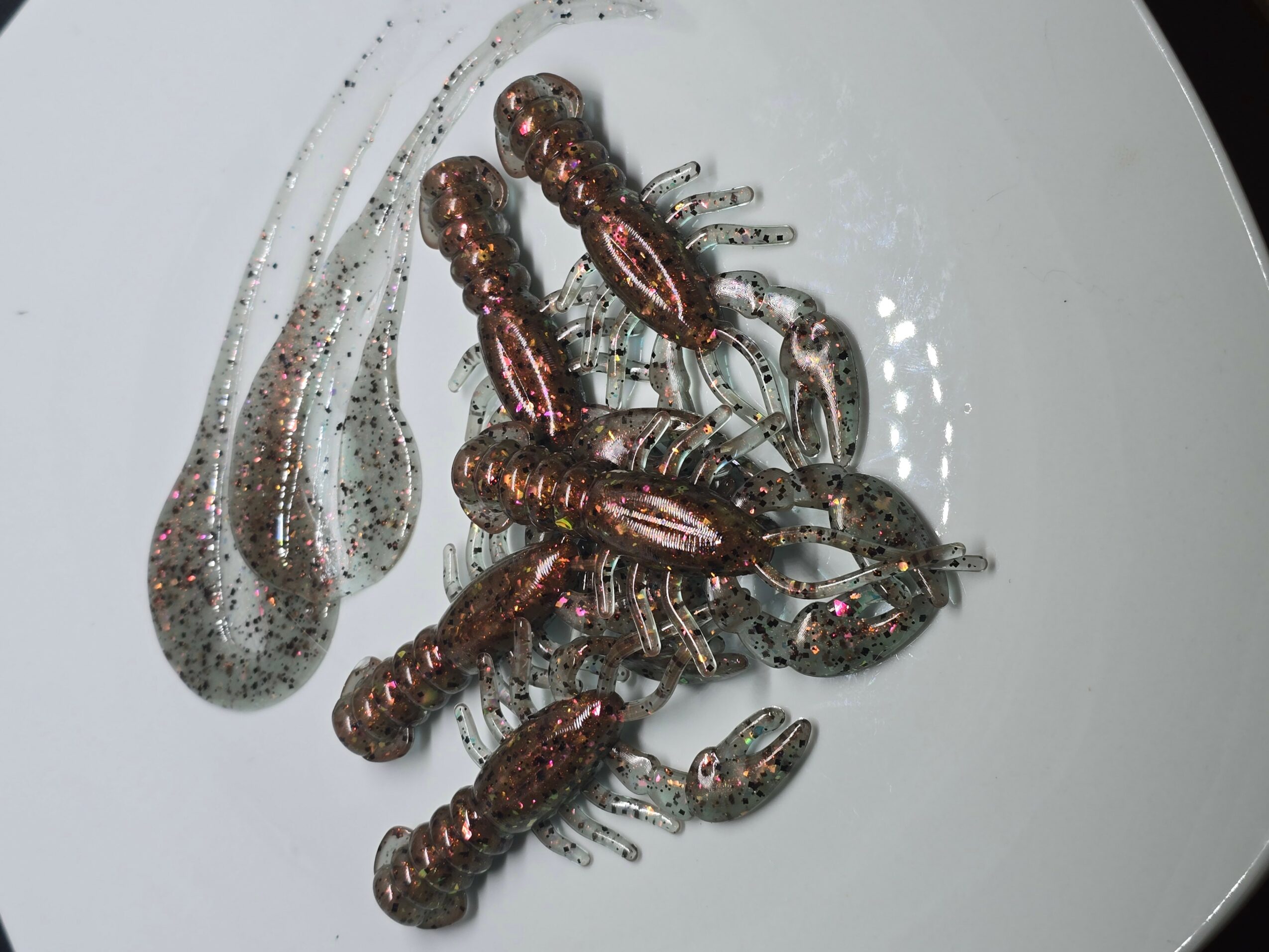 Multiple small crustaceans on a white surface, some with segmented bodies and antennae, possibly shrimp or similar creatures.