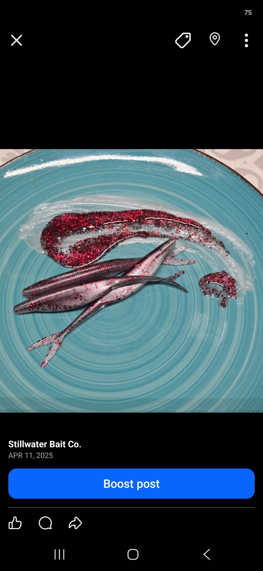 Fish on a blue plate with red and black markings, surrounded by a circular pattern.