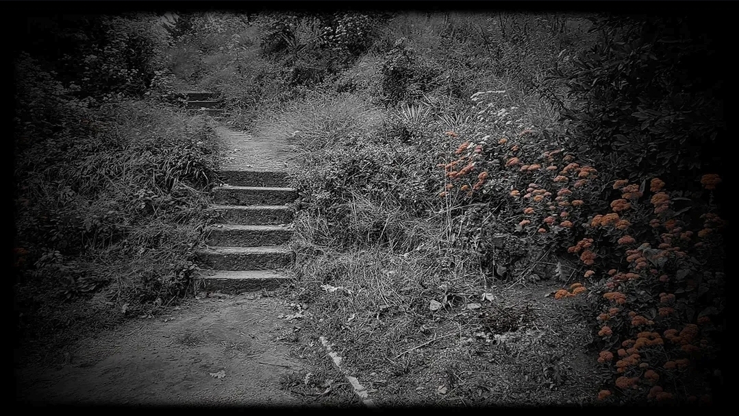 Staircase leading up a garden path with bushes and flowers on both sides, in black and white.