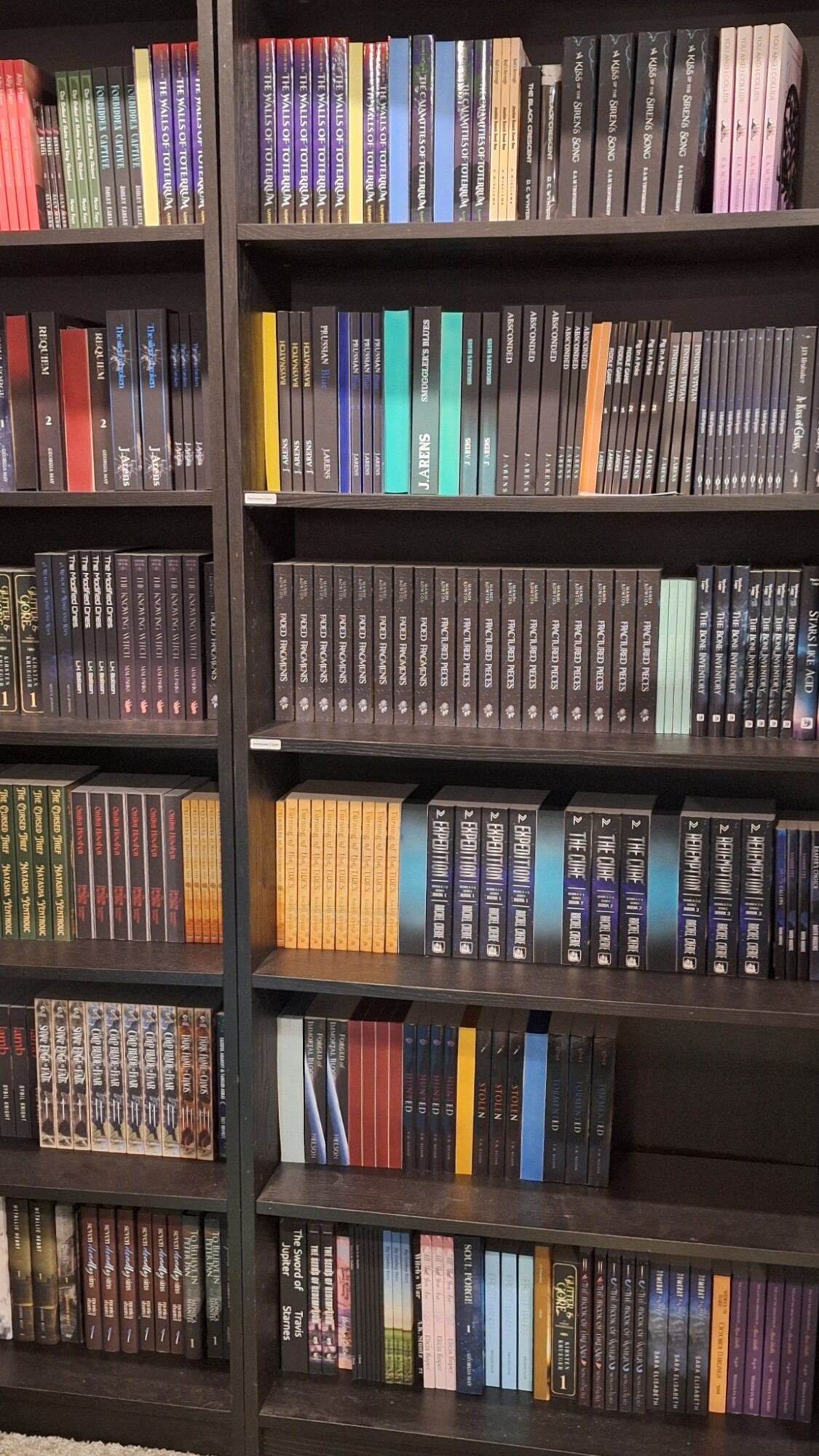 Bookshelves filled with colorful books arranged vertically, with multiple shelves and a dark frame.