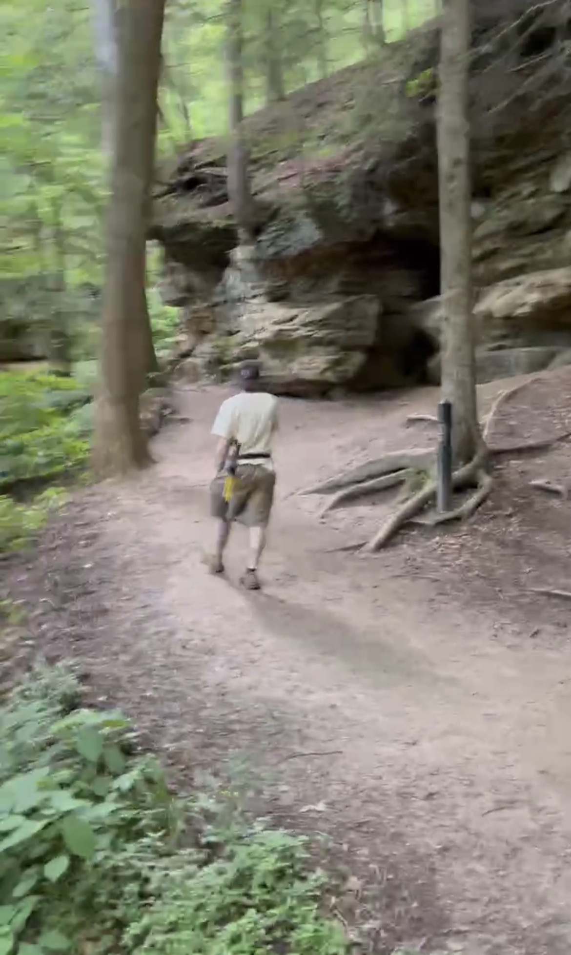 Person walking on a dirt trail in a forest with tall trees and large rock formations, surrounded by greenery.