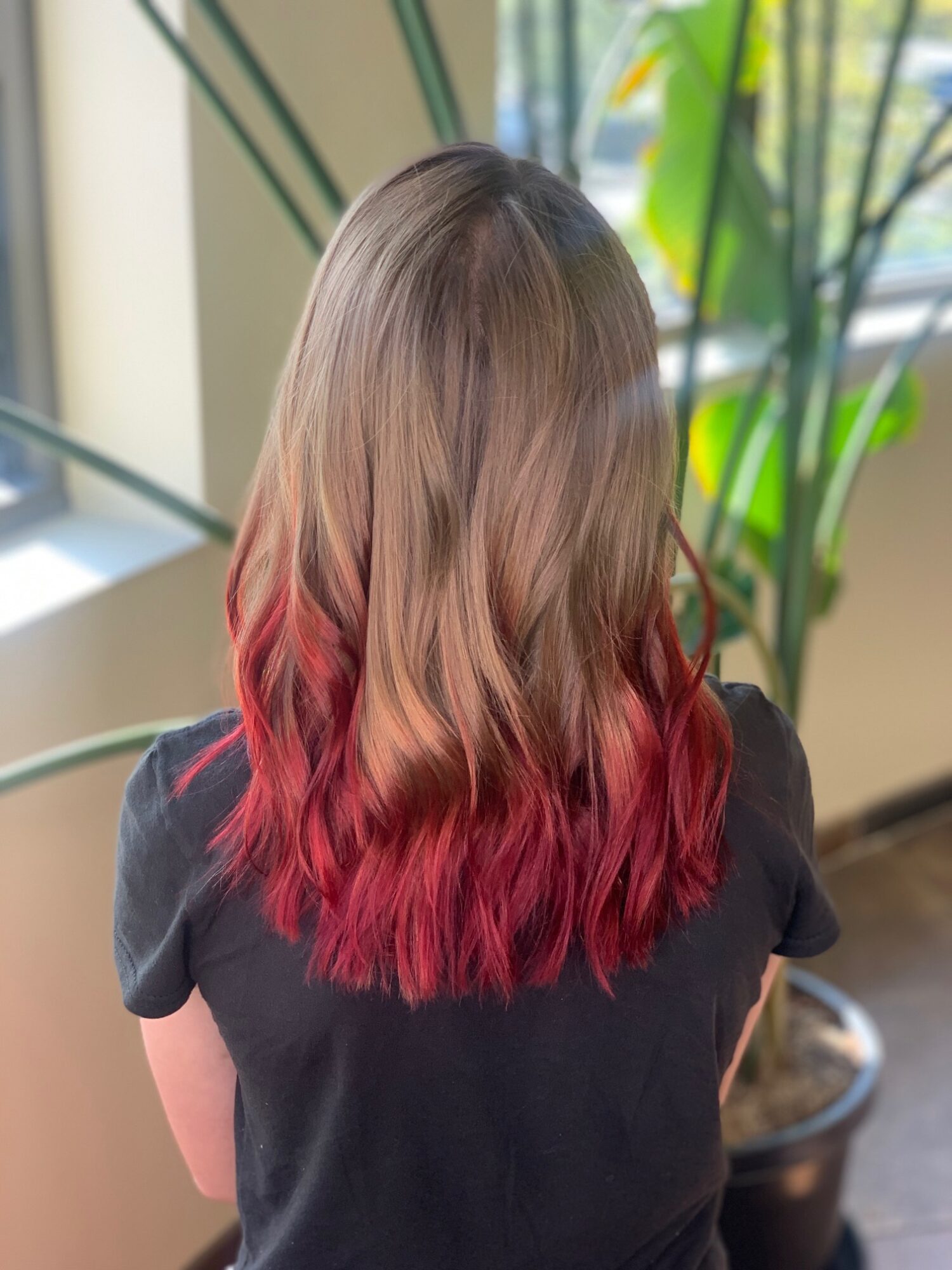 Back view of a person with shoulder-length hair, transitioning from light brown to pink at the ends, indoors near plants.