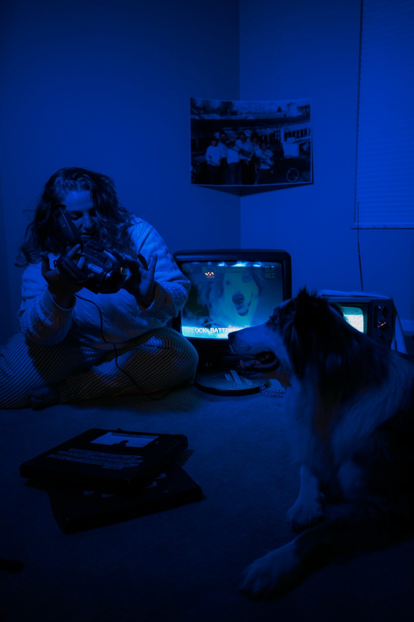 Person sitting on the floor with a dog, illuminated by blue light, with a computer monitor and picture on the wall behind.