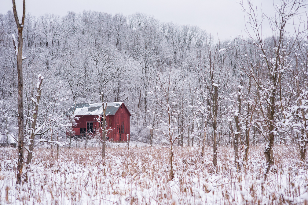 Snow-covered landscape with trees and a red barn, overcast sky, winter scene.