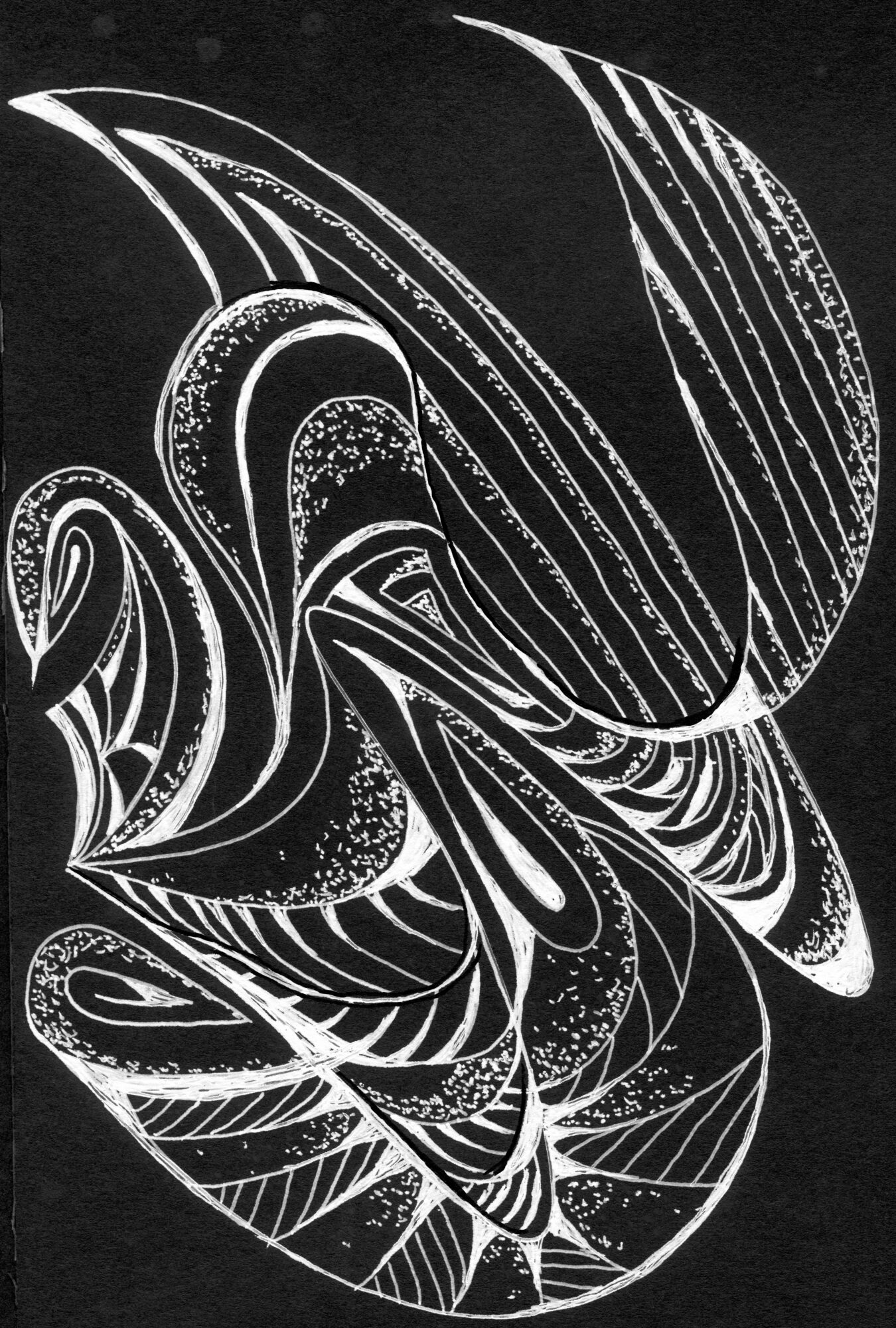 Abstract black and white design with swirling, curved lines and intricate patterns resembling a stylized butterfly or flower.