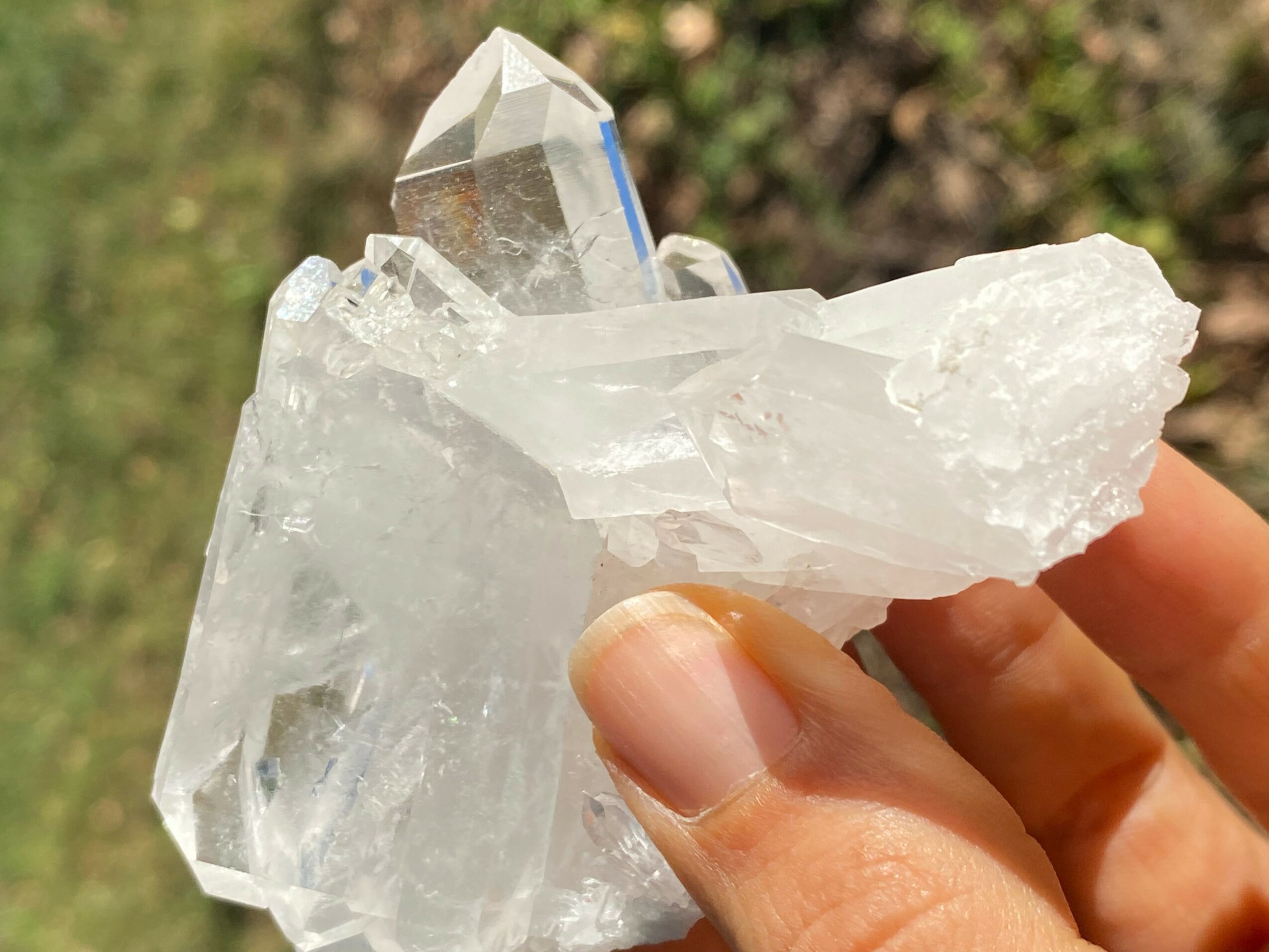 Hand holding a large clear quartz crystal with multiple points, outdoors with blurred greenery background.