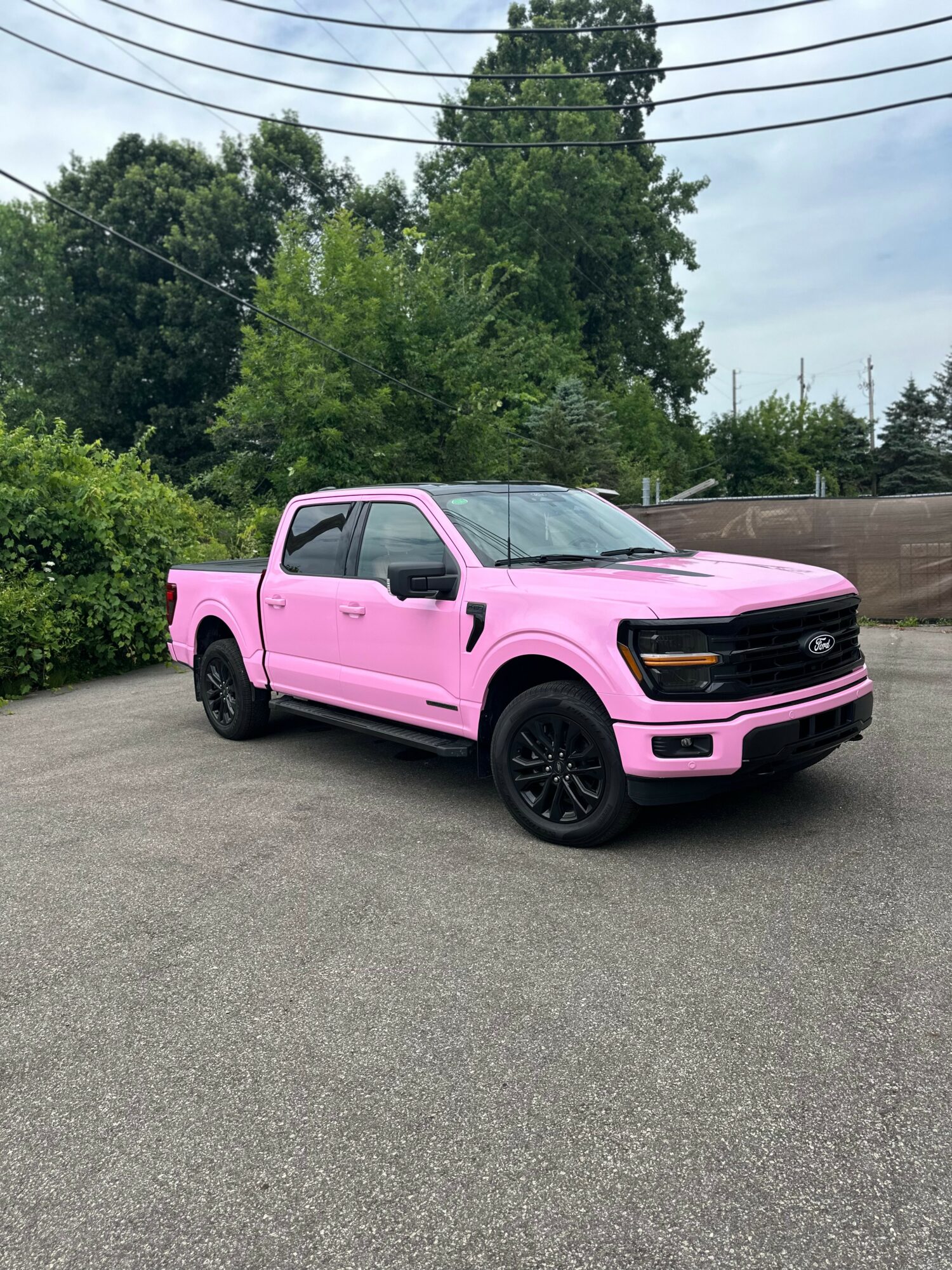 Pink pickup truck parked on a paved surface with trees and power lines in the background.