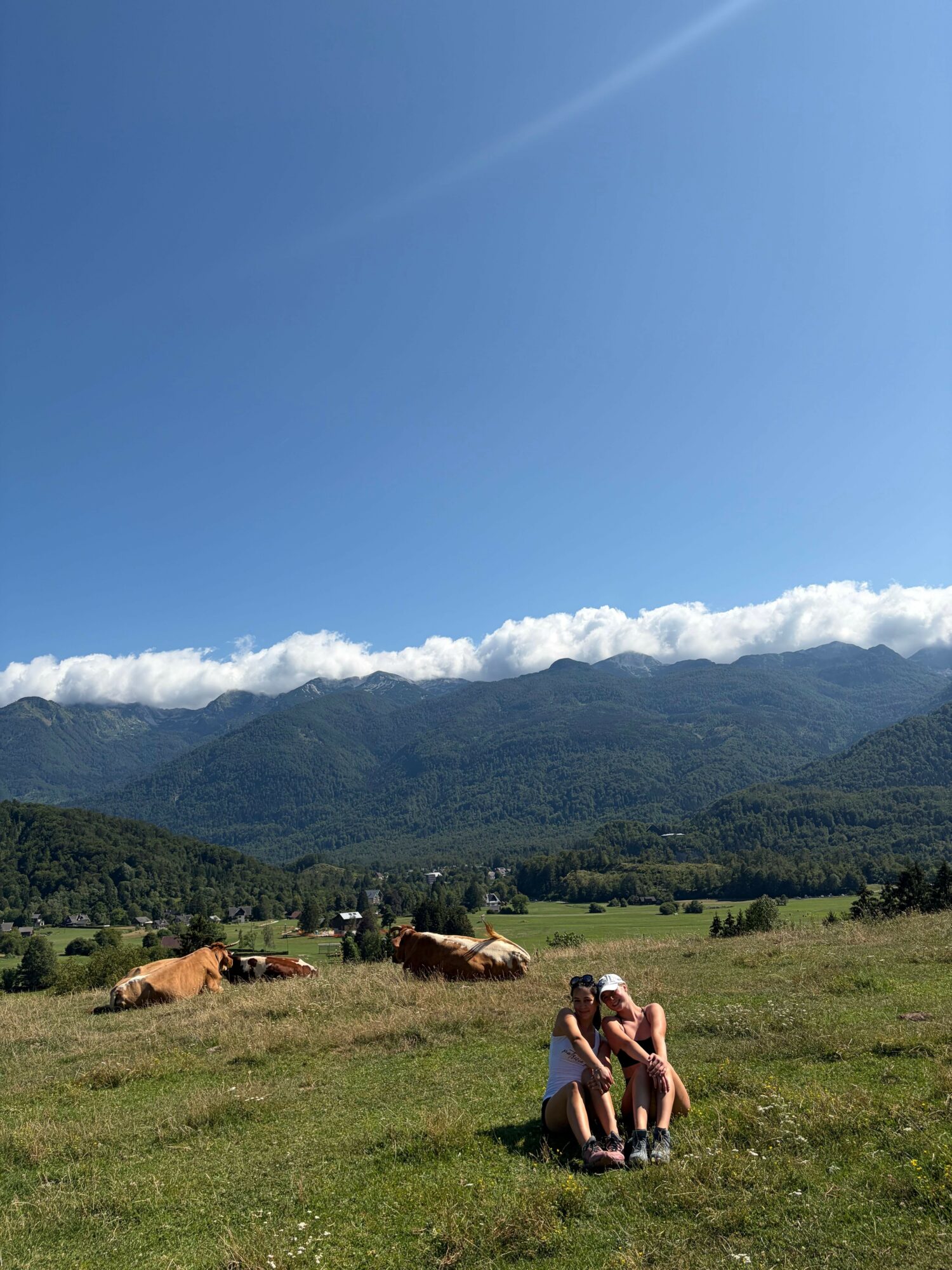 People sitting on grass with cows, mountains, and a blue sky with clouds in the background.