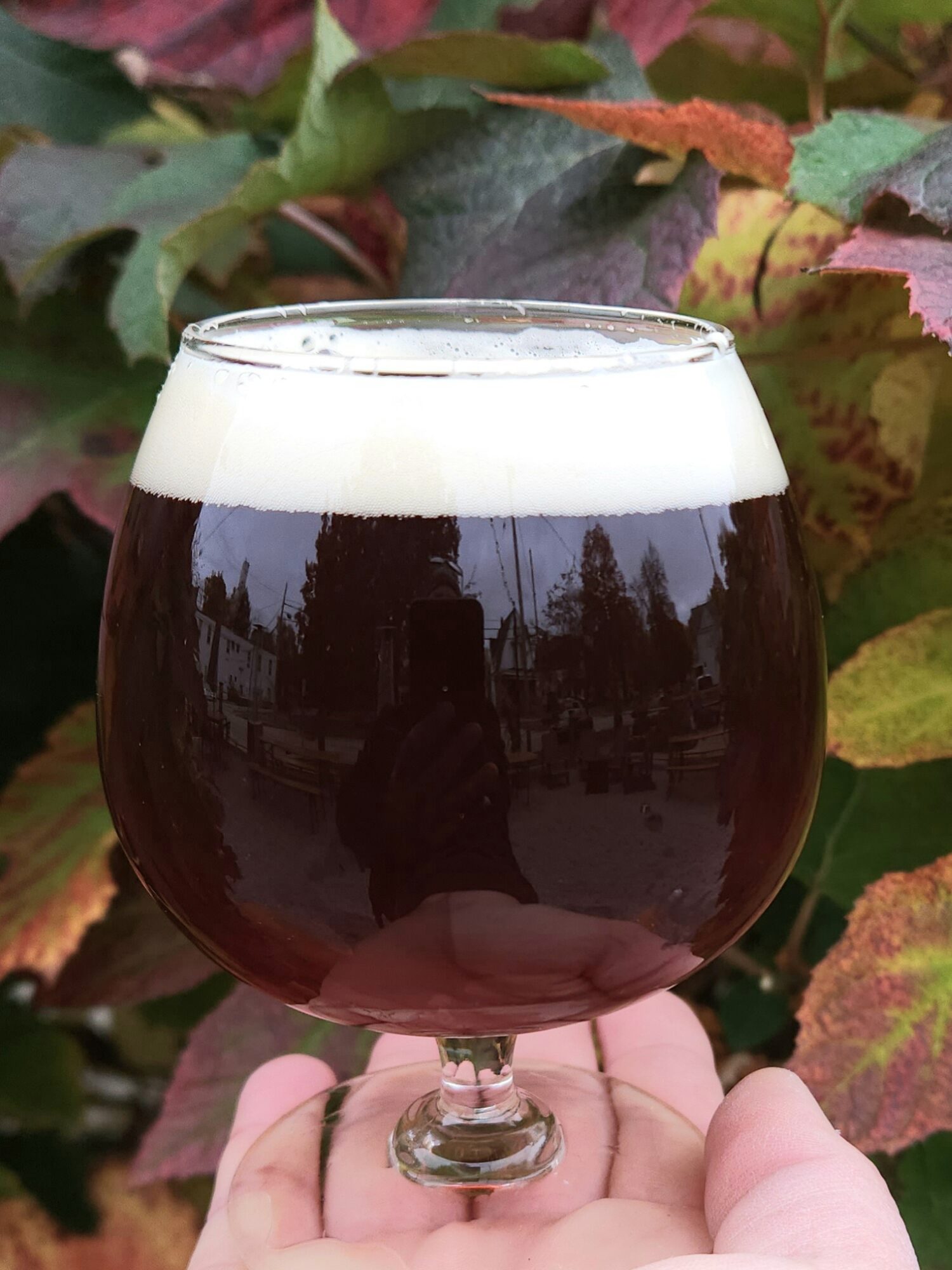 A glass of dark beer with a foamy head held outdoors with colorful leaves in the background.