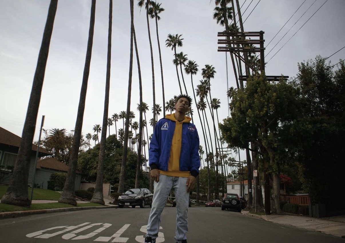 Person standing on a street with tall palm trees and power lines in the background.