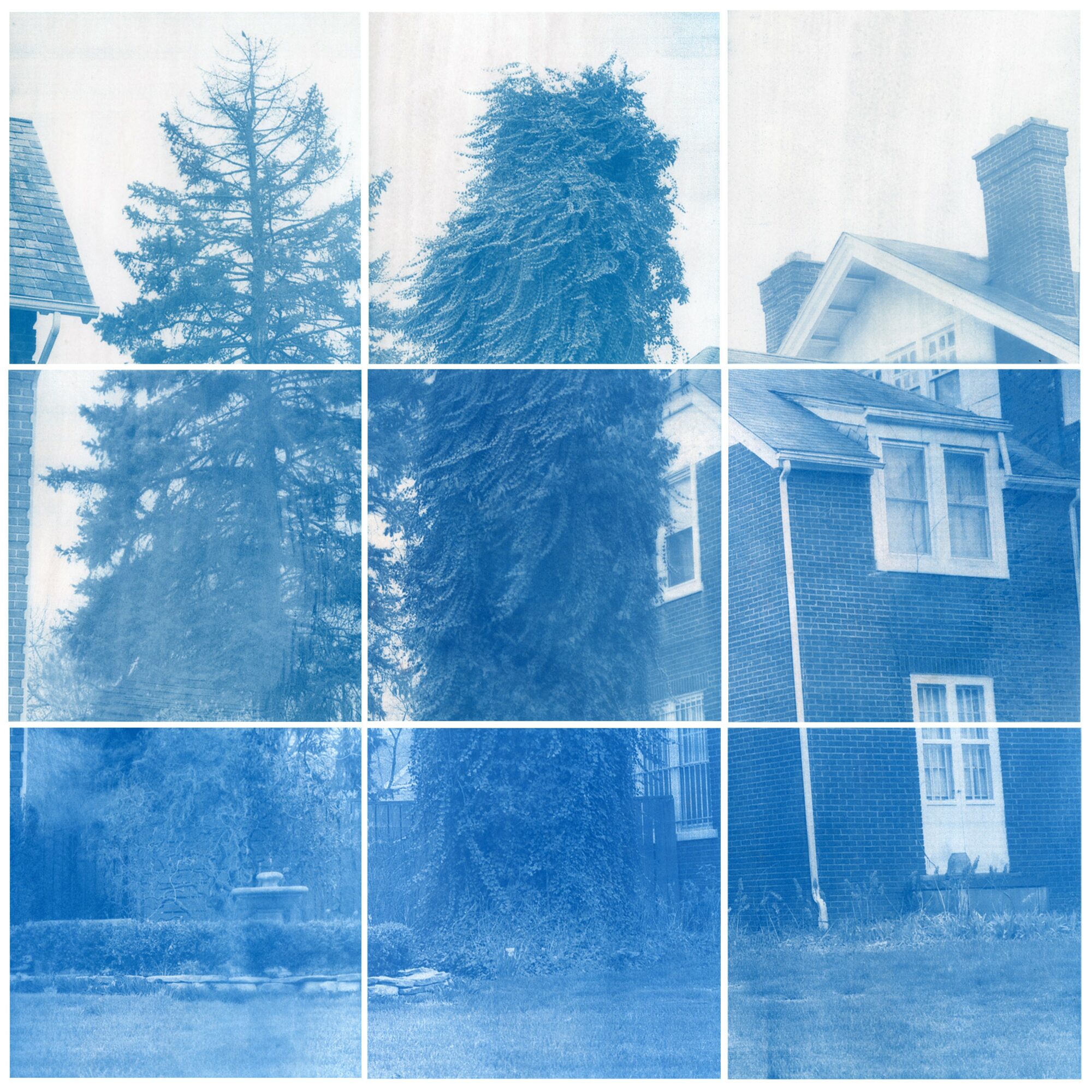 Nine-grid image of trees and a house, rotated to be upright, with visible windows and roof details.