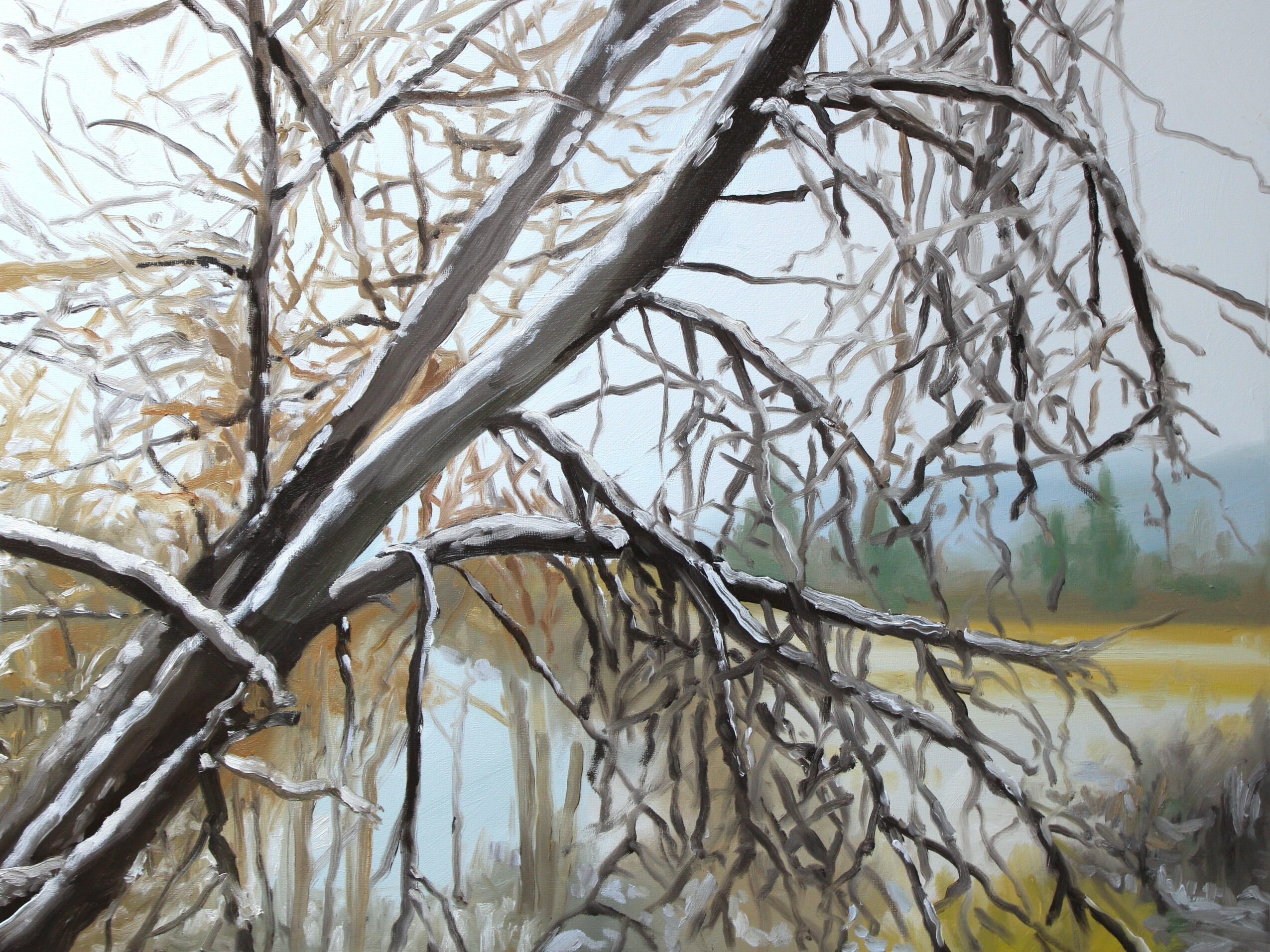 Tree with snow-covered branches leaning over a body of water, with a distant landscape in the background.