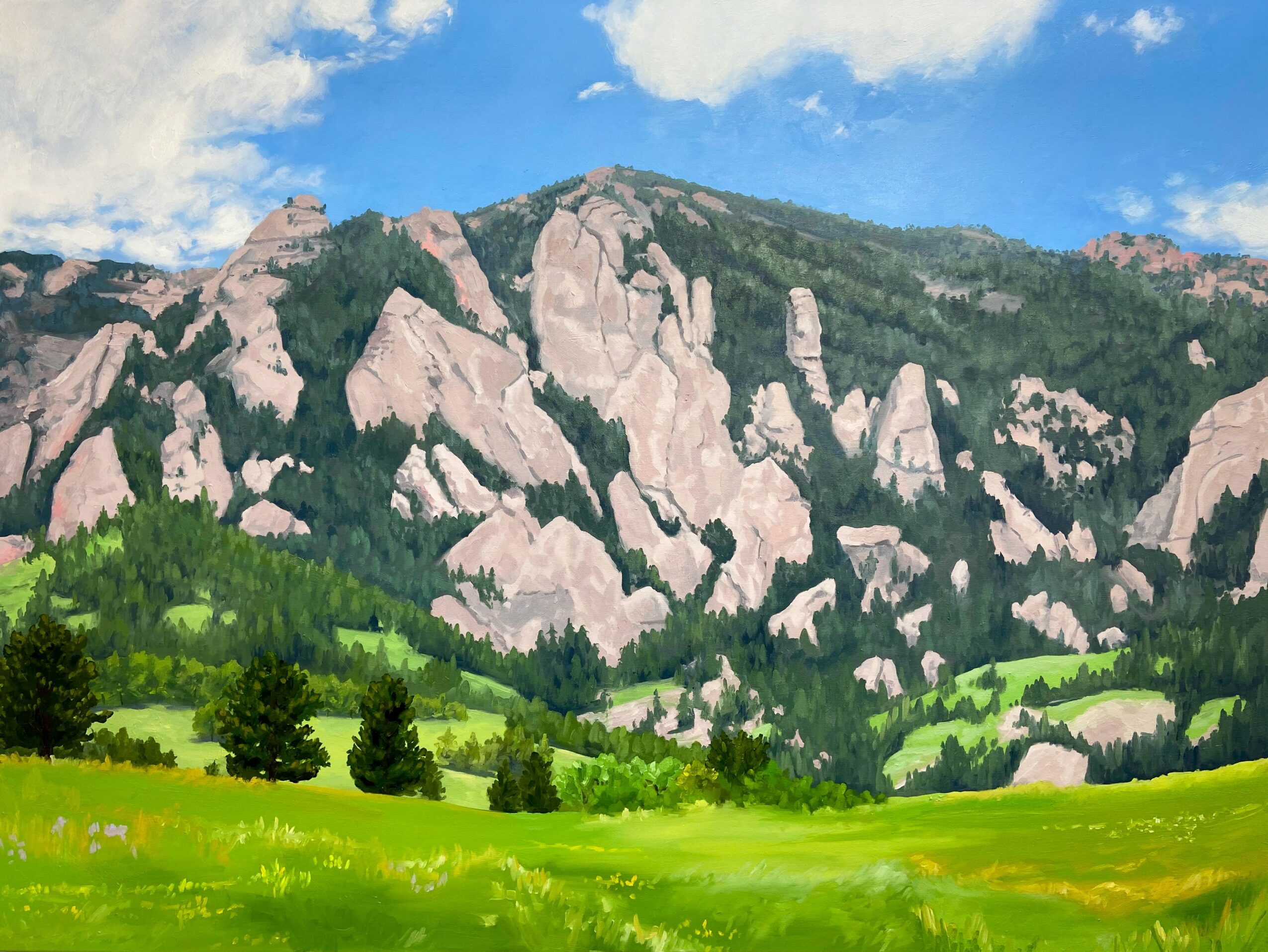 Mountain range with rocky peaks, green trees, and a grassy foreground under a partly cloudy sky.