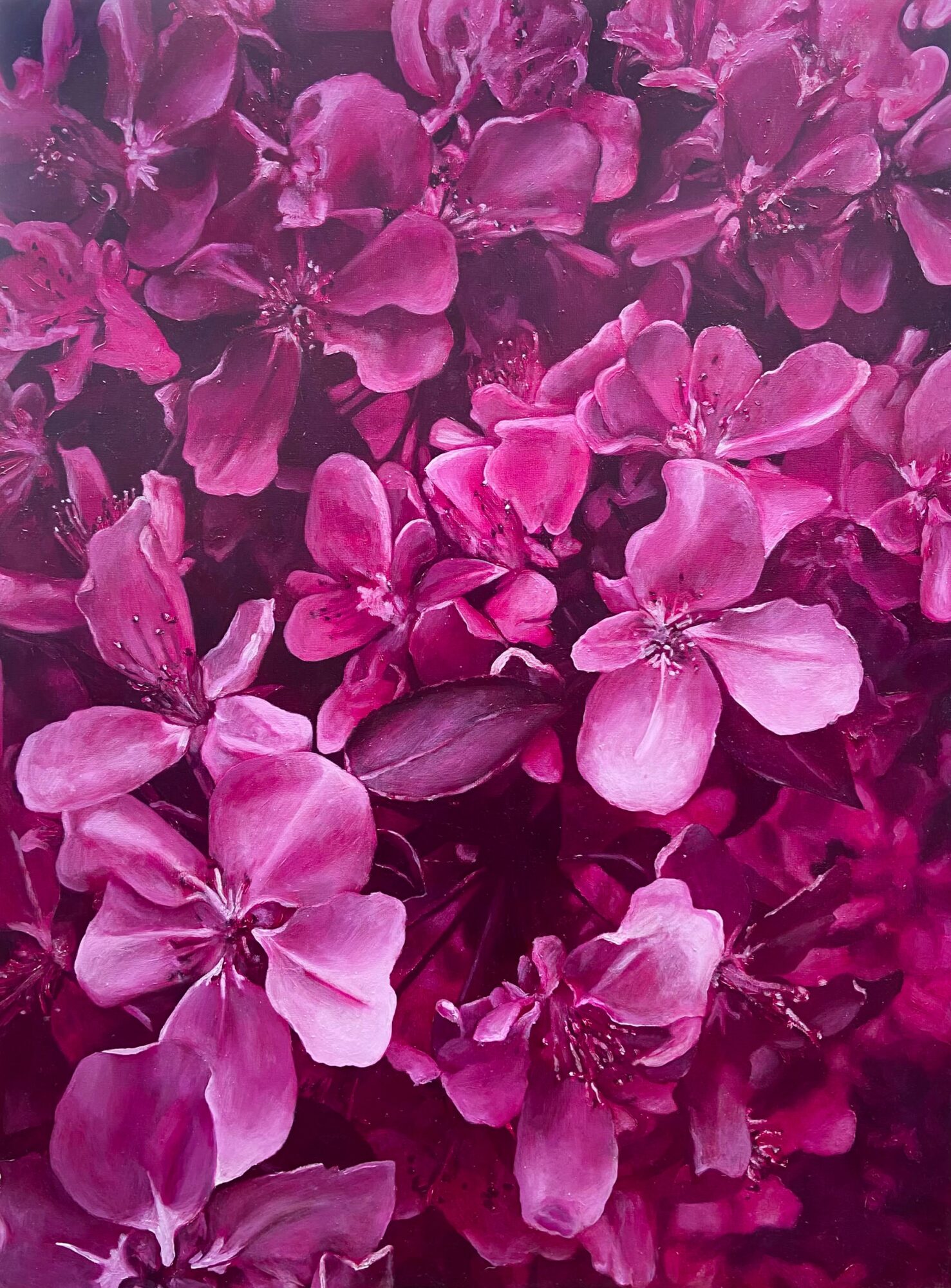 Close-up of vibrant pink and purple flowers with detailed petals and stamens.