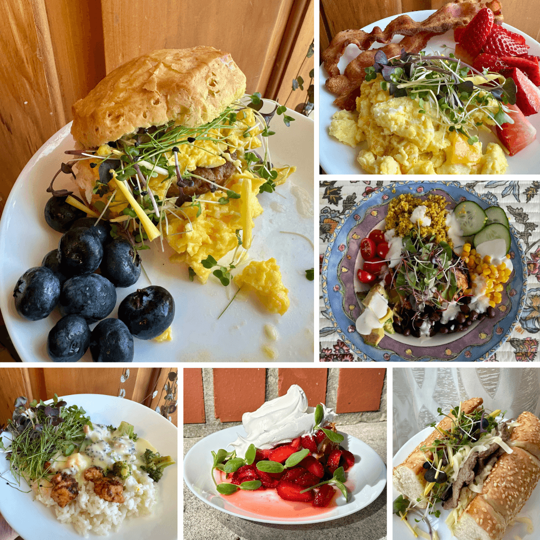 Sandwich with greens and scrambled eggs, blueberries, strawberries with cream, salad with vegetables, and a sandwich with meat and greens.
