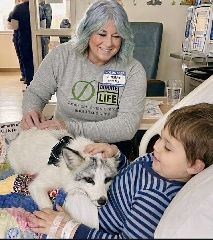 Woman smiling at a boy with a dog on his lap in a hospital room, woman wearing volunteer badge, dog wearing glasses.