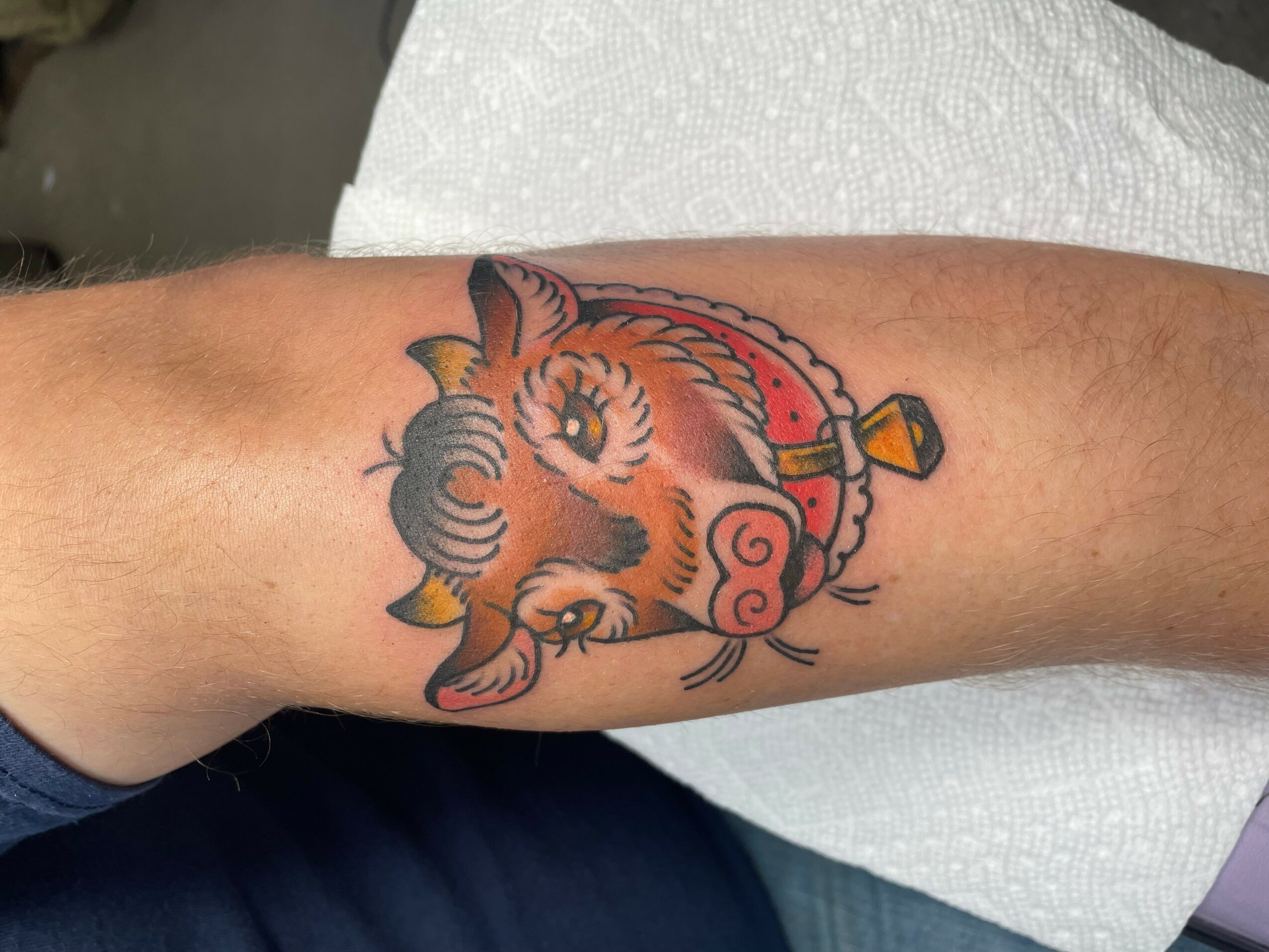 Tattoo of a pig's face with a pink snout, wearing a red and yellow collar, on a person's arm.