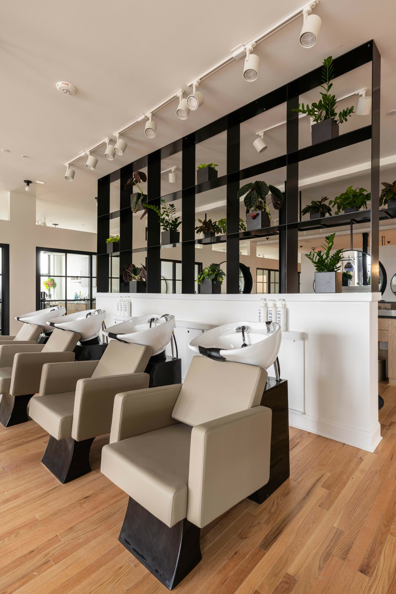 Salon with hair washing stations, chairs, and a black shelving unit with plants, in a bright space with wooden floors.