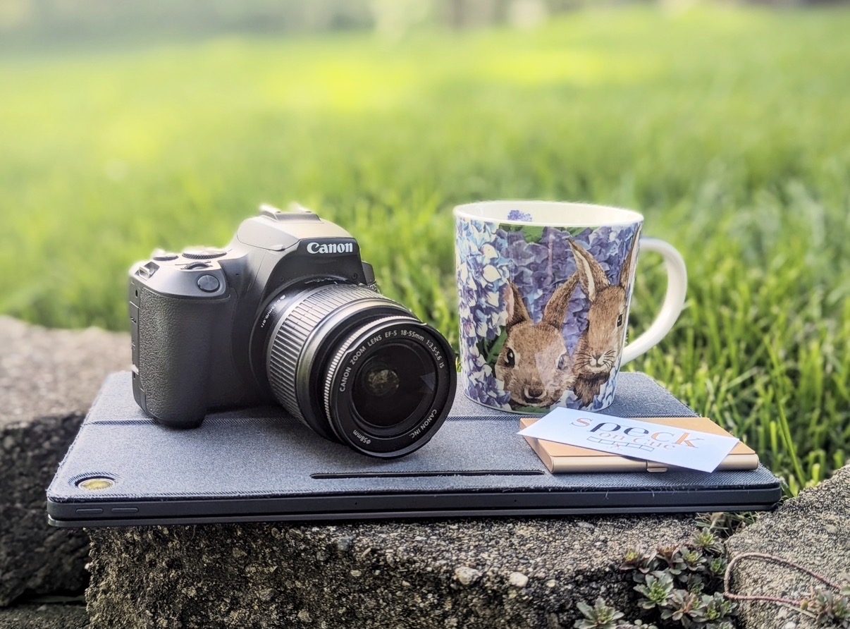 Camera, mug with rabbit illustration, closed laptop, and a small notebook on a rock outdoors with green grass background
