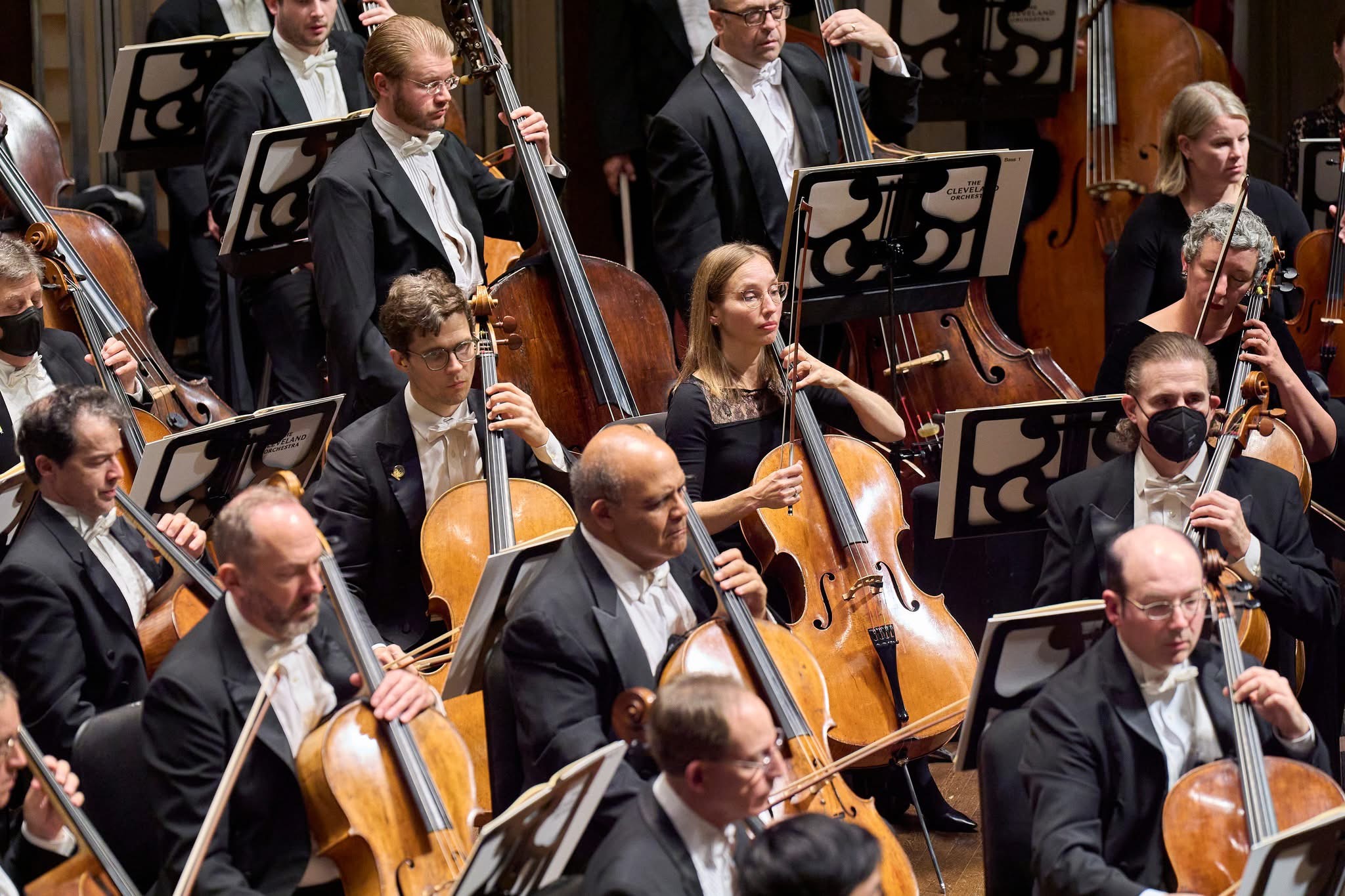 Orchestra musicians play cellos and double basses on a concert stage.