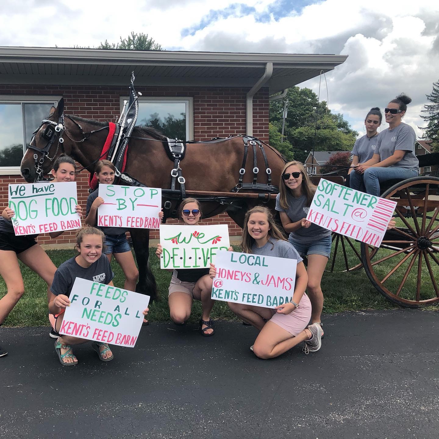 Group of people holding signs in front of a horse-drawn carriage outside a brick building, with cloudy sky above.
