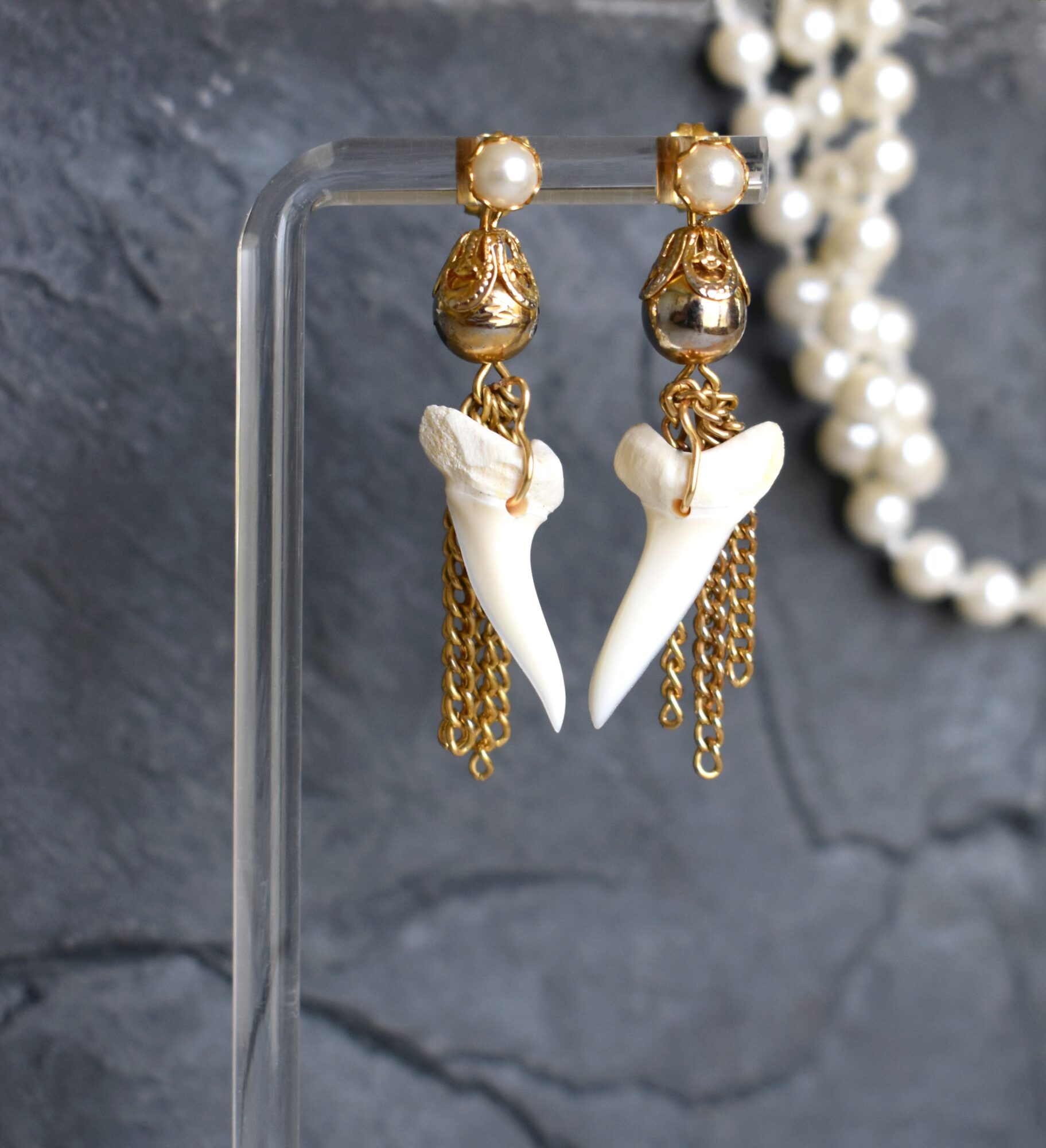 Pair of dangling earrings with gold-toned fittings, white tooth-shaped pendants, and chain details on a display stand.